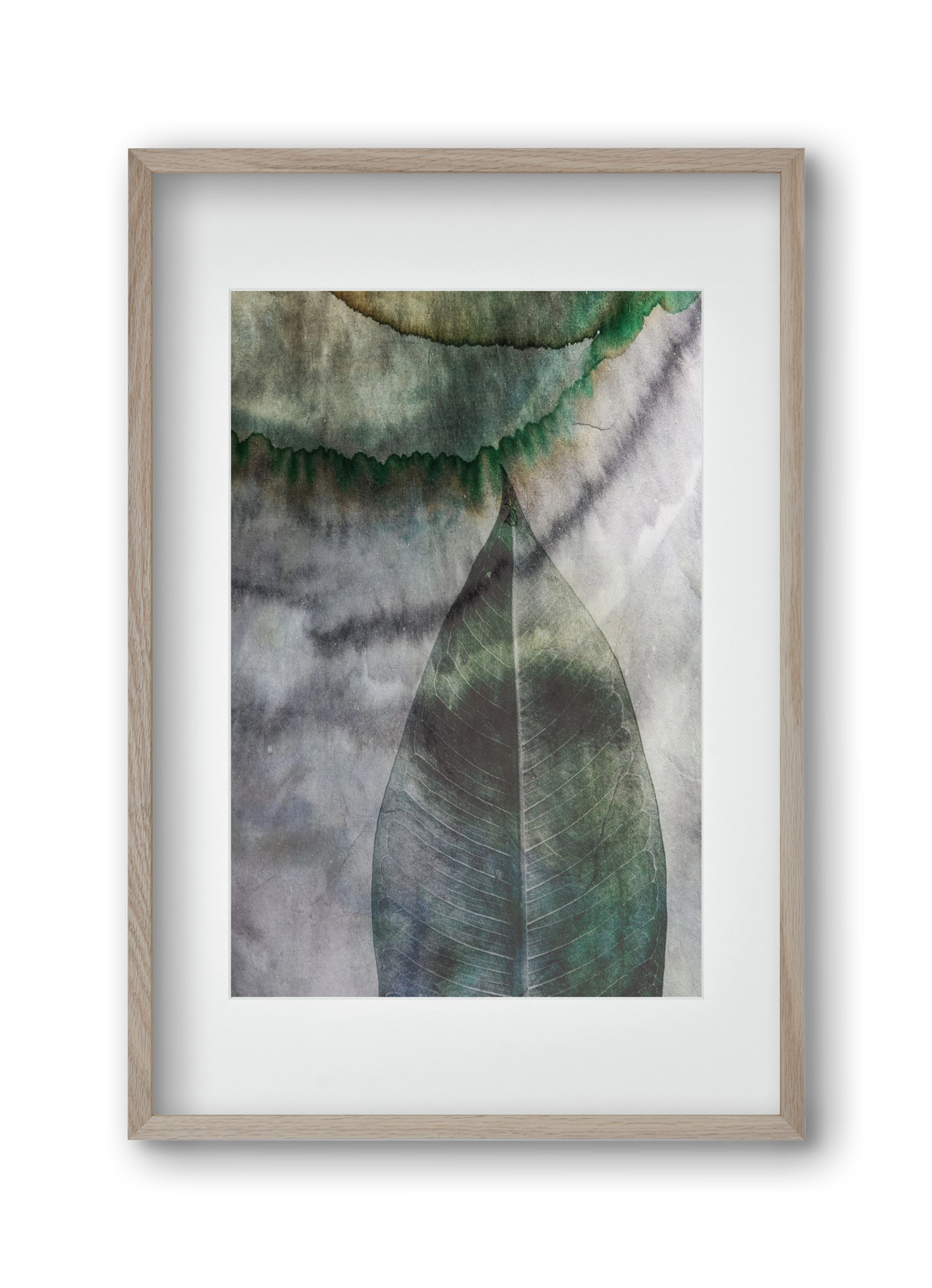 Natural selection II., 30x45 cm (20x30 cm), Tölgy keret, paszpartuval