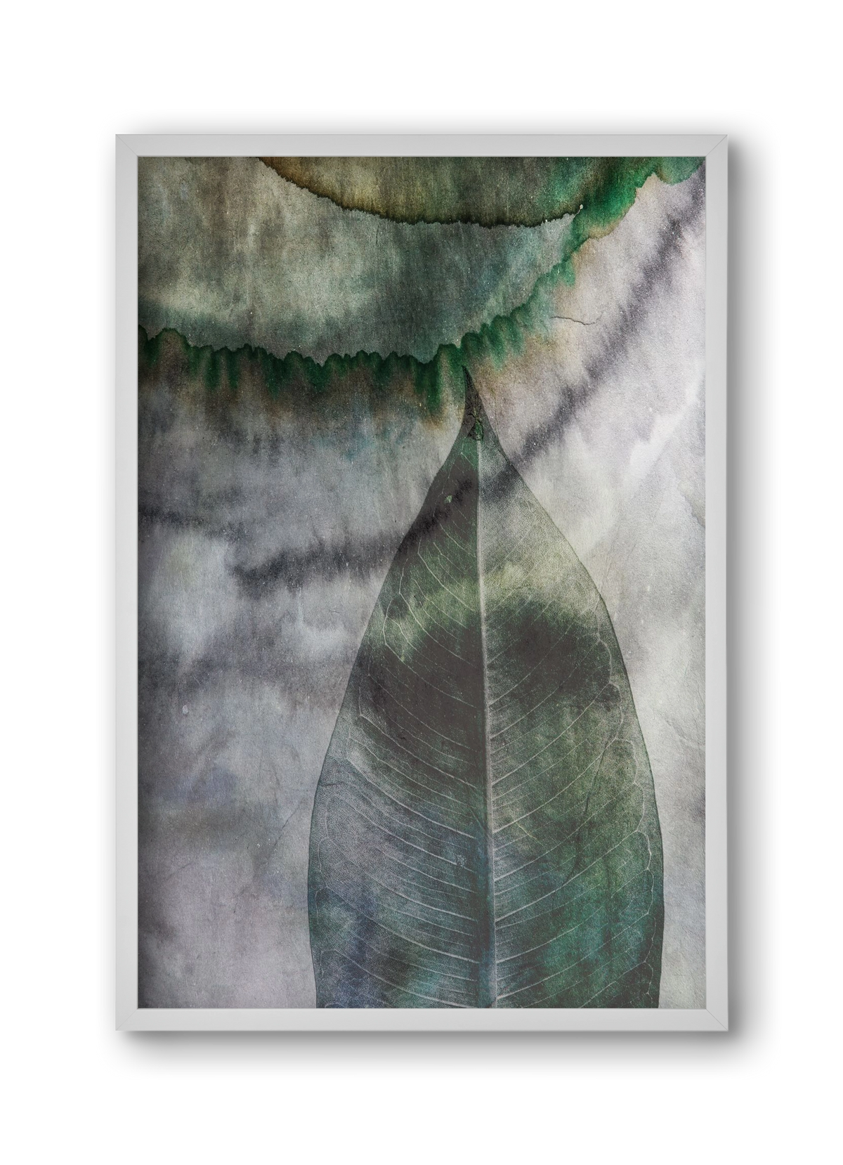 Natural selection II., 30x45 cm (30x45 cm), Fehér keret