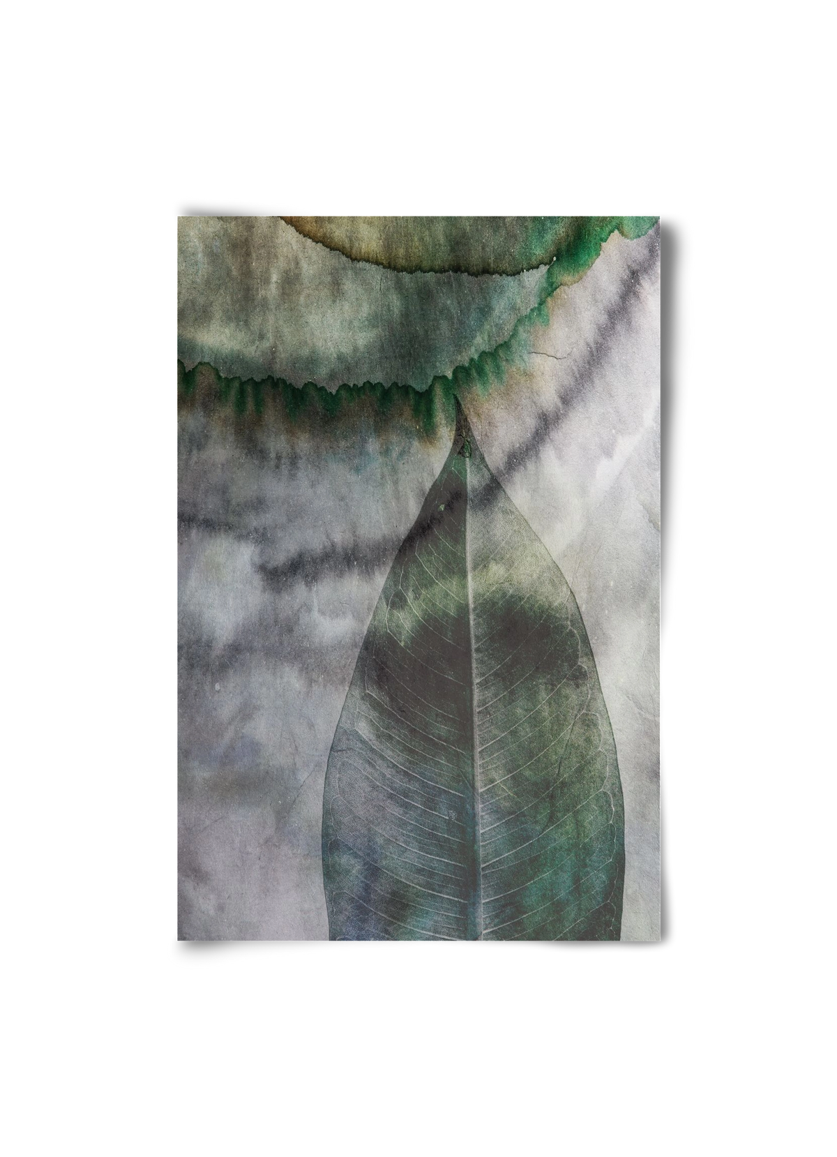 Natural selection II., 20x30 cm, Keret nélkül