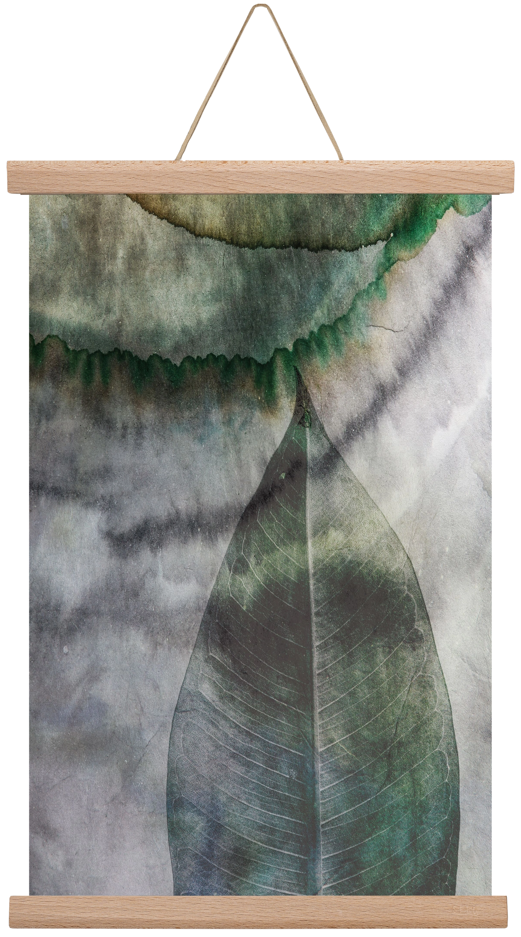 Natural selection II., 30x45 cm (30x45 cm), Tölgy akasztó