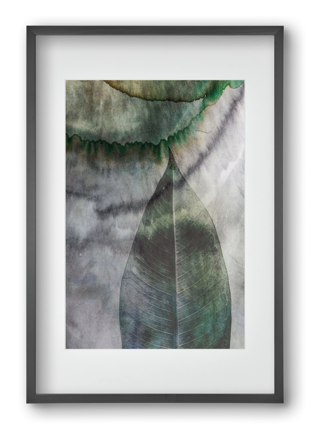 Natural selection II., 40x60 cm (30x45 cm), Fekete keret, paszpartuval