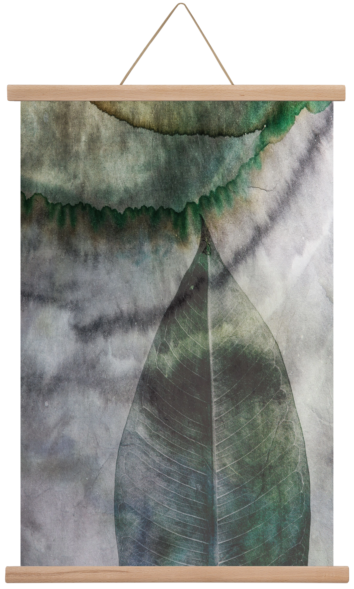 Natural selection II., 40x60 cm (40x60 cm), Tölgy akasztó