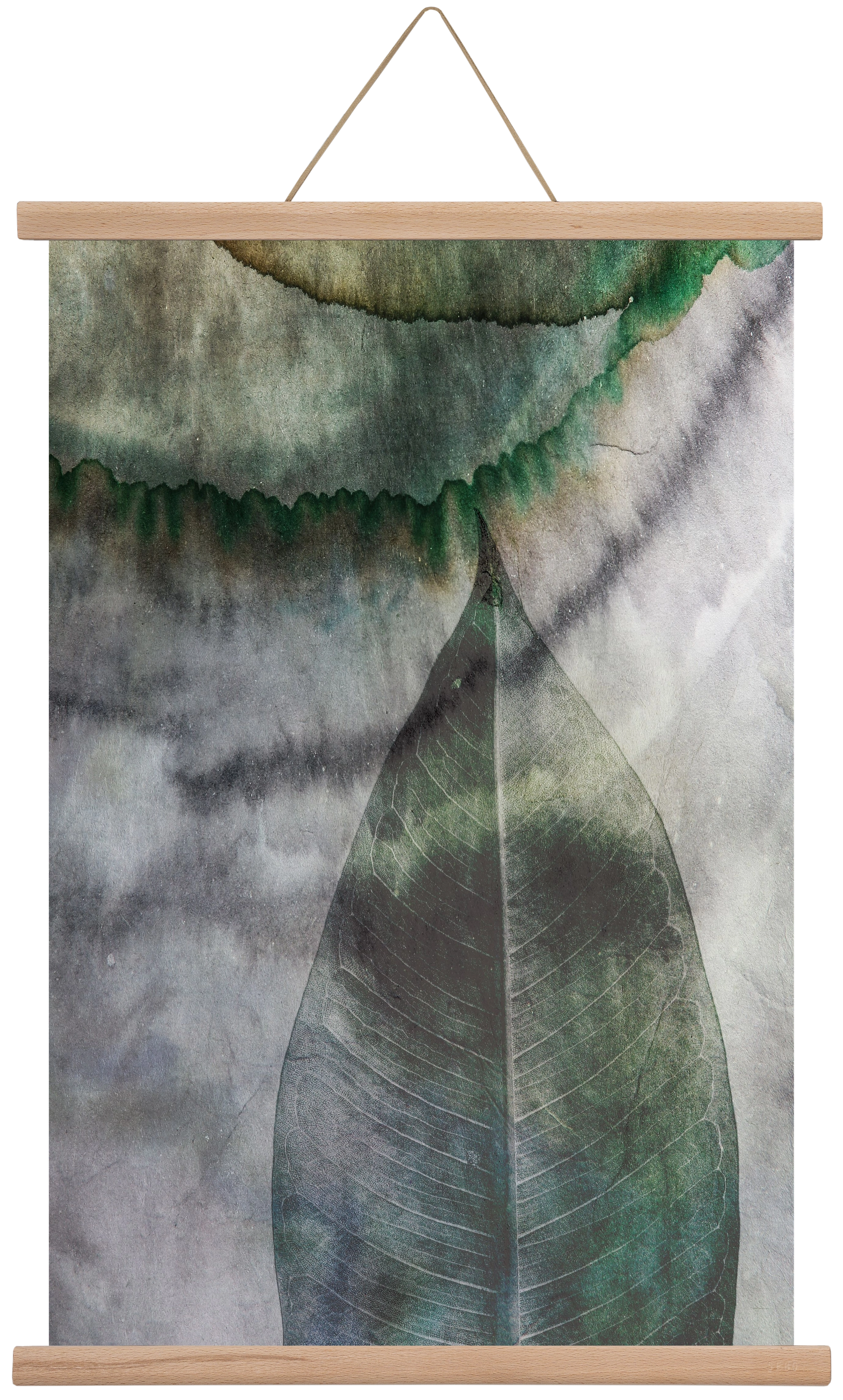 Natural selection II., 40x60 cm (40x60 cm), Tölgy akasztó