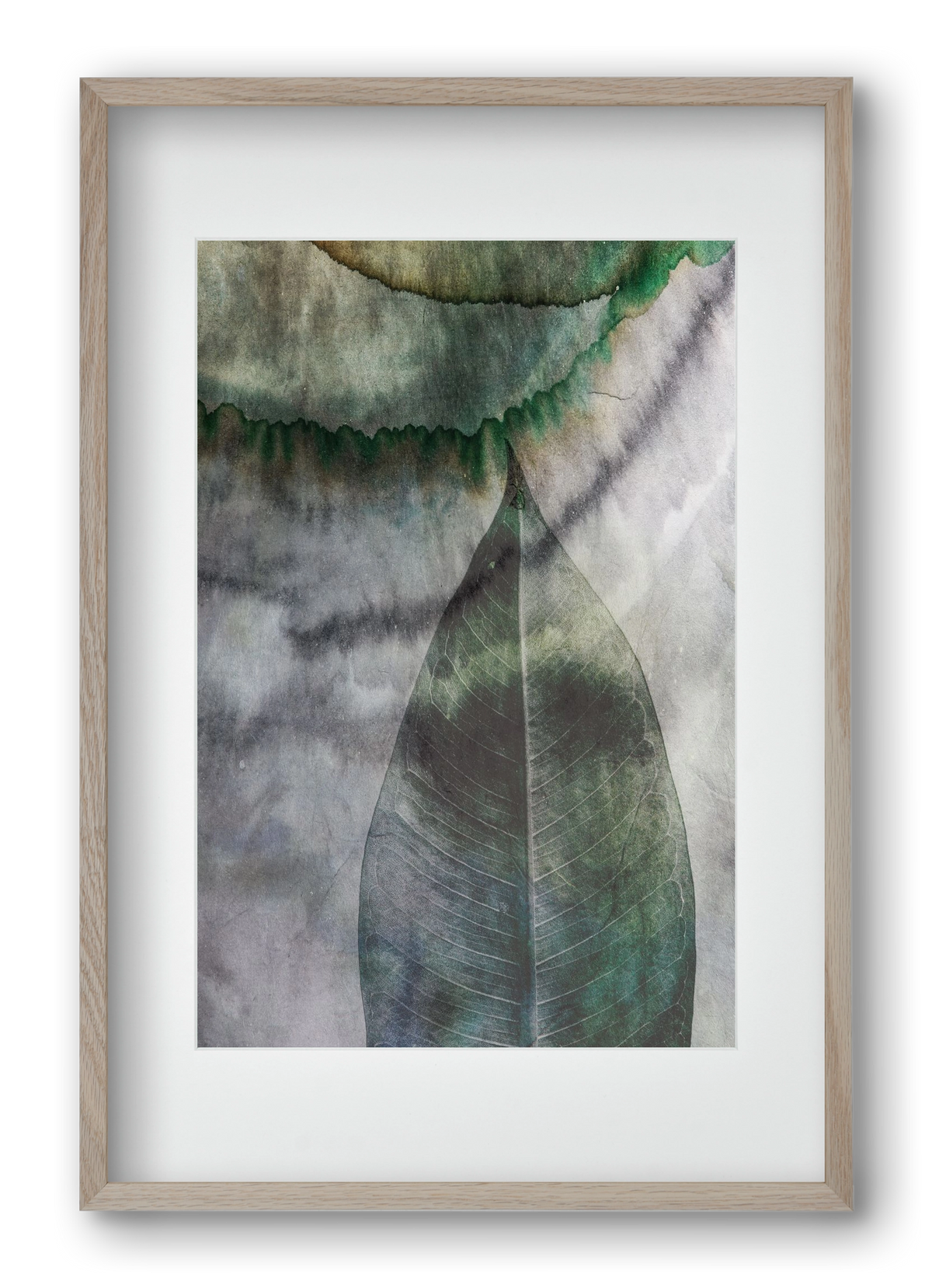 Natural selection II., 40x60 cm (30x45 cm), Tölgy keret, paszpartuval