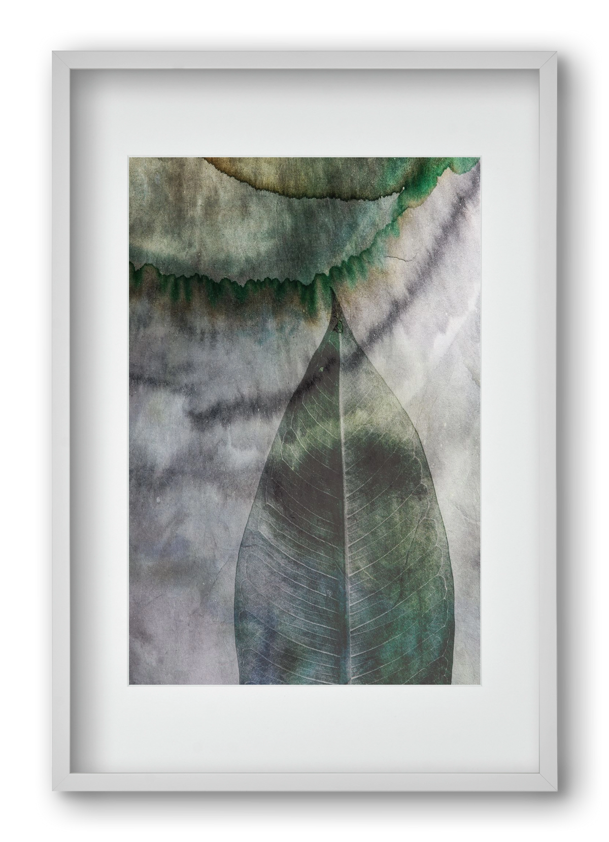 Natural selection II., 40x60 cm (30x45 cm), Fehér keret, paszpartuval