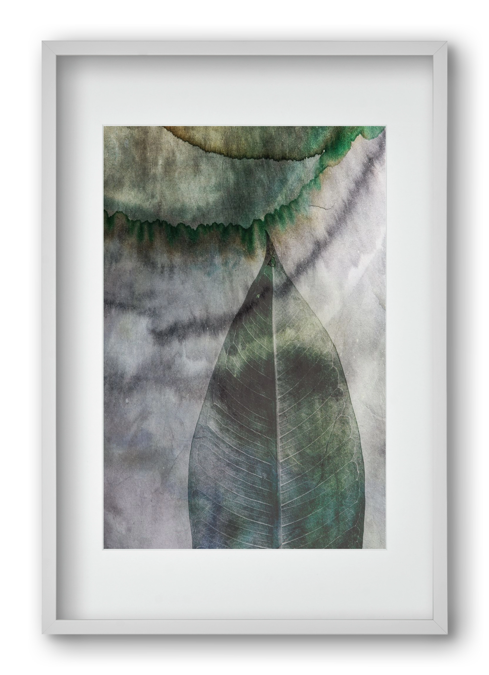 Natural selection II., 40x60 cm (30x45 cm), Fehér keret, paszpartuval