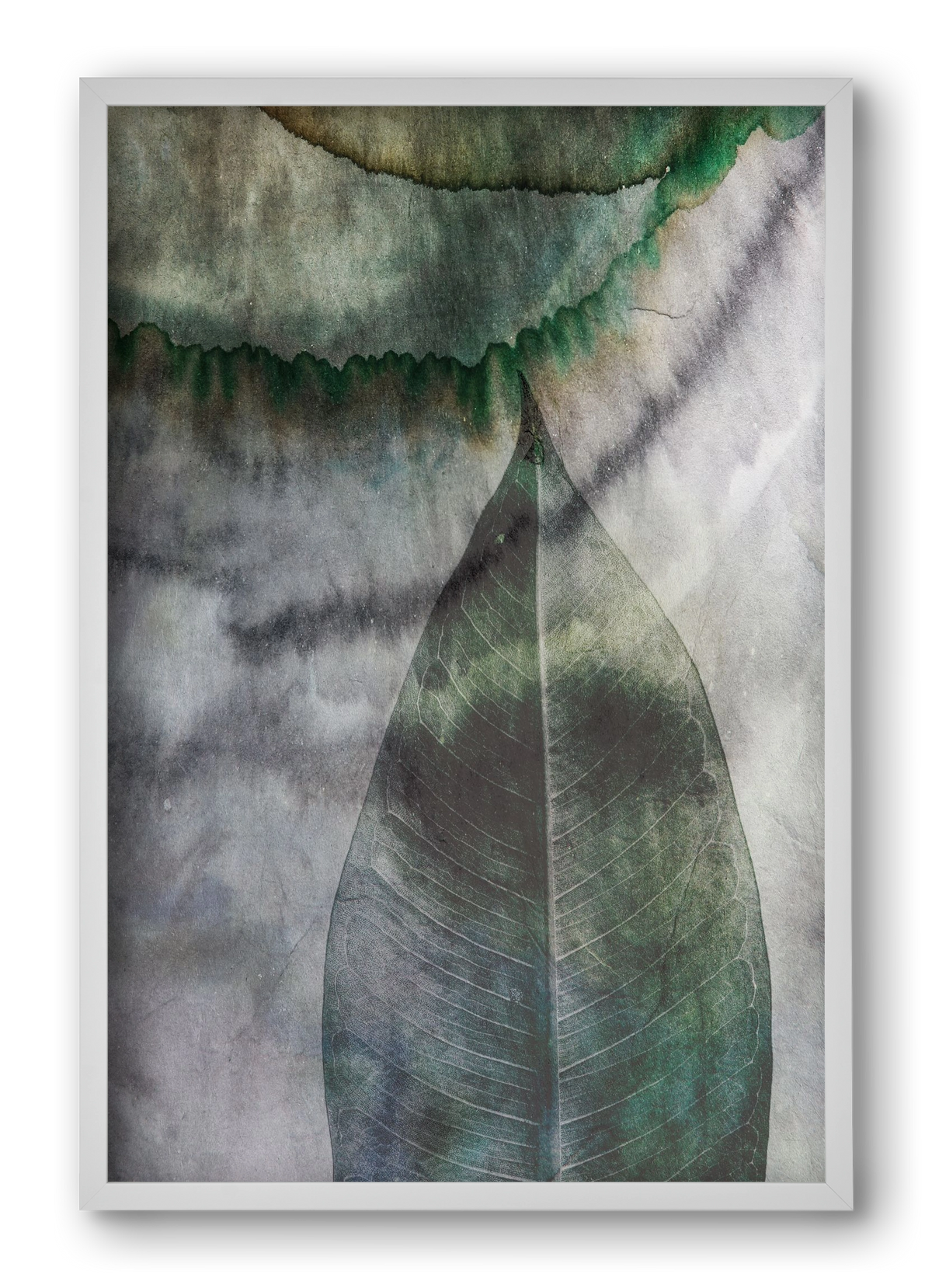 Natural selection II., 40x60 cm (40x60 cm), Fehér keret