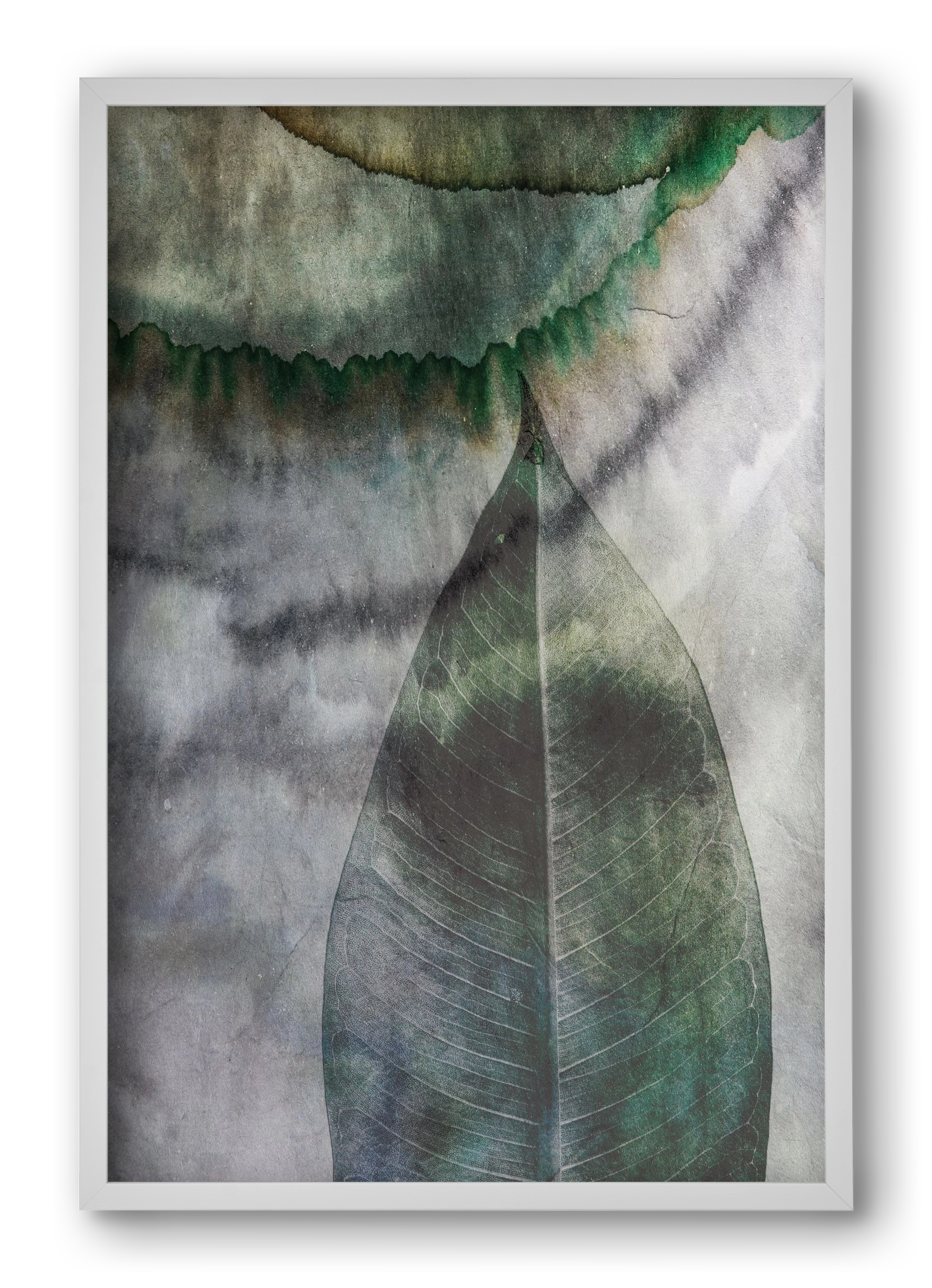 Natural selection II., 40x60 cm (40x60 cm), Fehér keret