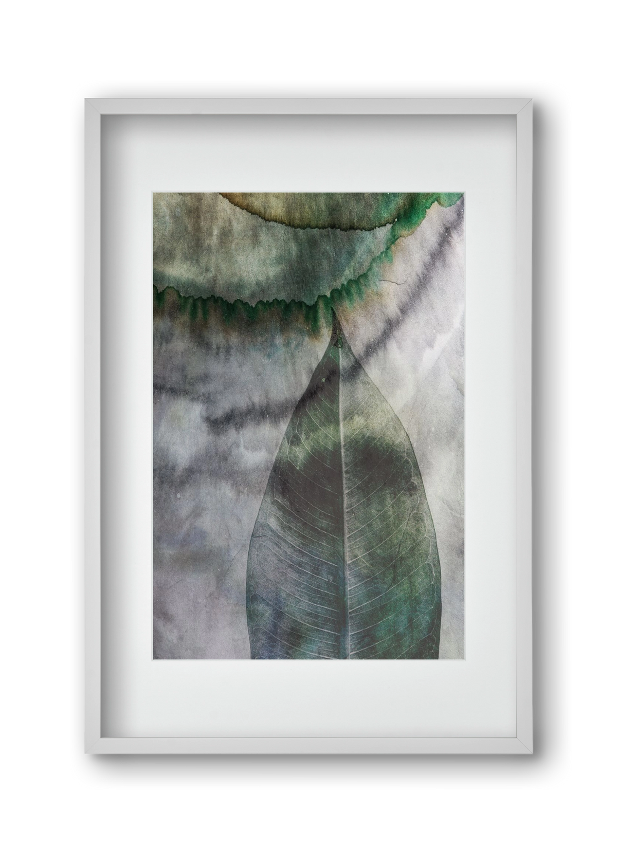 Natural selection II., 30x45 cm (20x30 cm), Fehér keret, paszpartuval