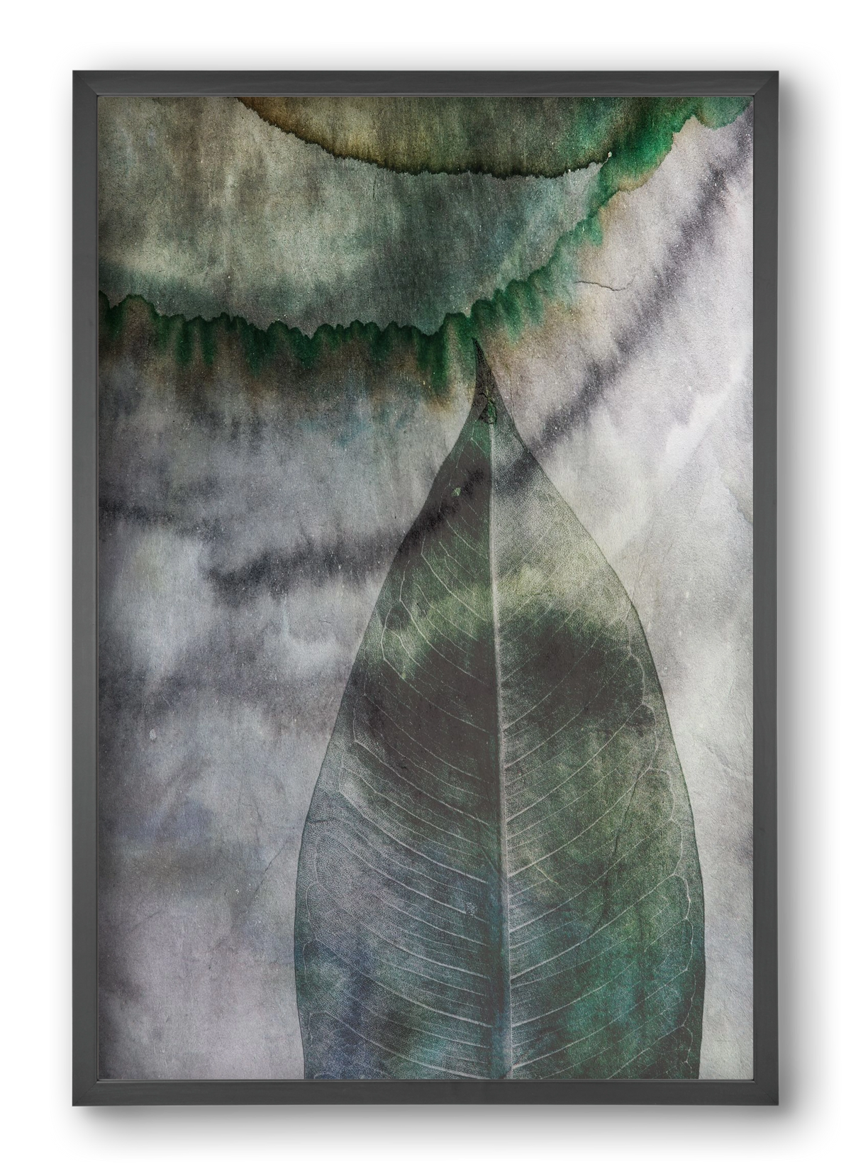 Natural selection II., 40x60 cm (40x60 cm), Fekete keret