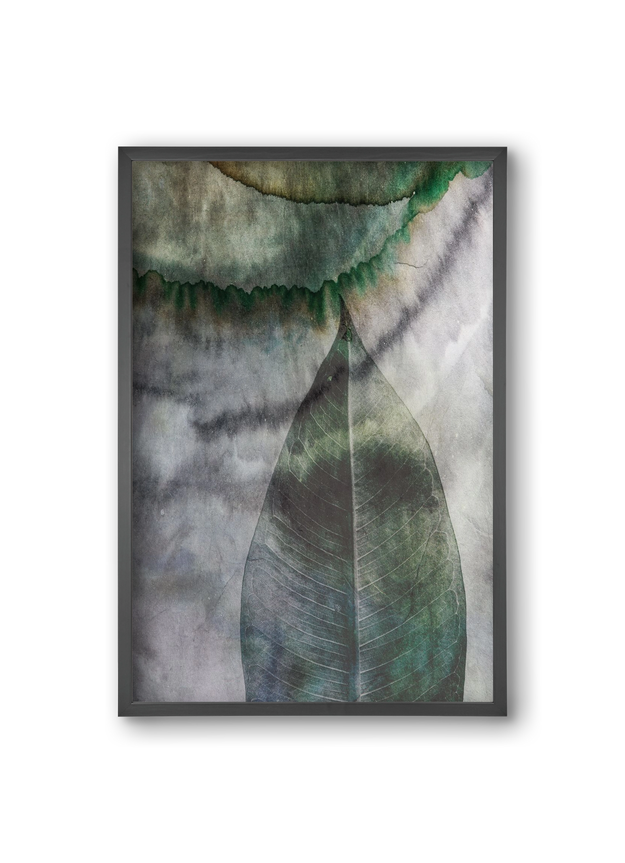 Natural selection II., 20x30 cm (20x30 cm), Fekete keret