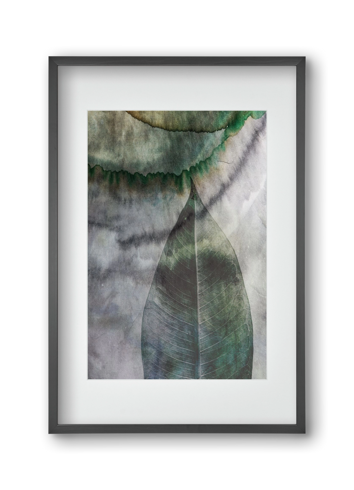 Natural selection II., 30x45 cm (20x30 cm), Fekete keret, paszpartuval