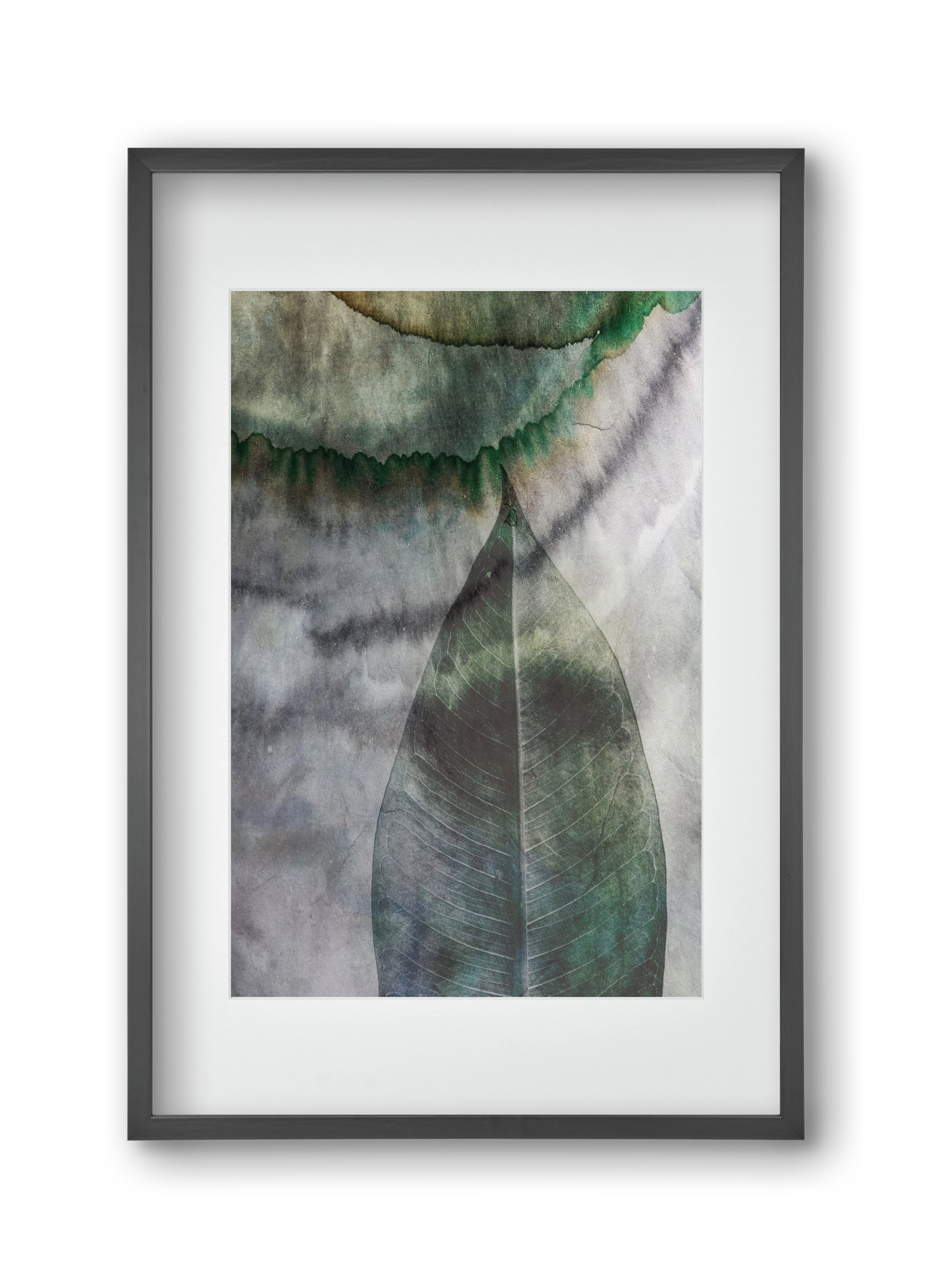 Natural selection II., 30x45 cm (20x30 cm), Fekete keret, paszpartuval