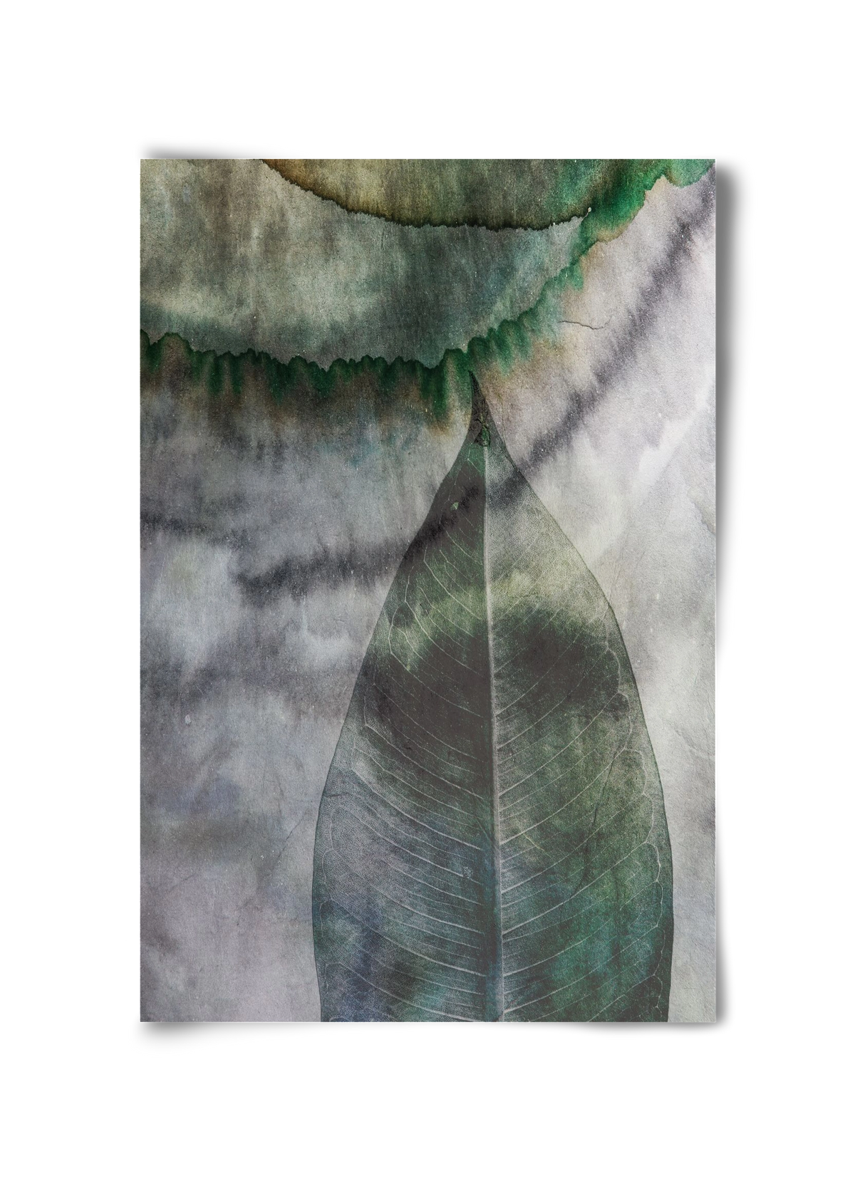 Natural selection II., 30x45 cm, Keret nélkül