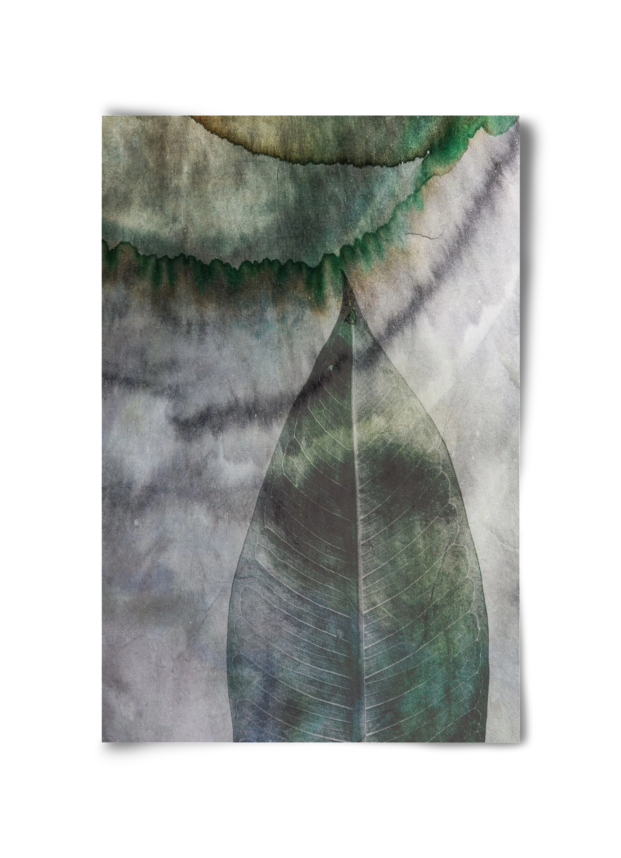 Natural selection II., 30x45 cm, Keret nélkül