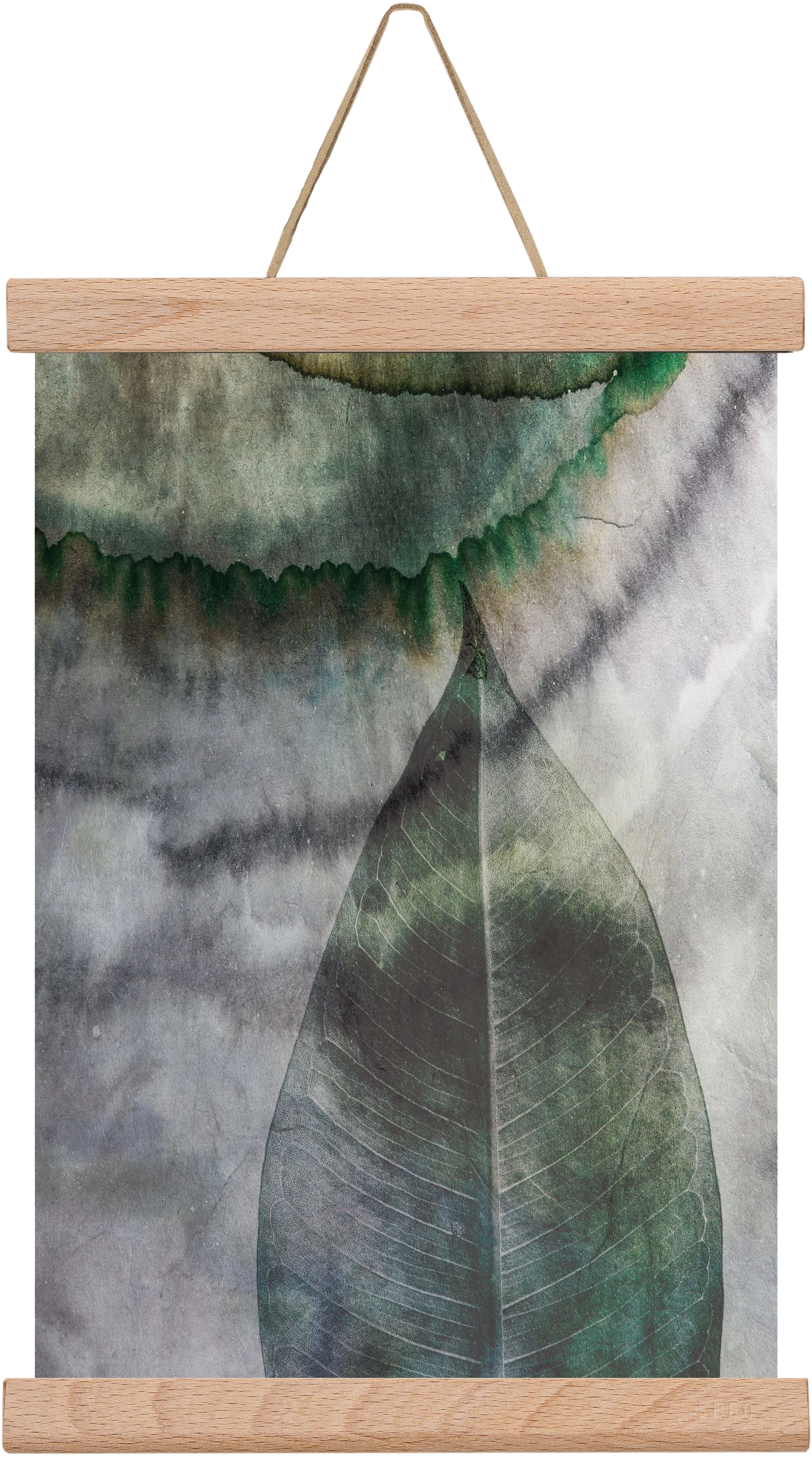 Natural selection II., 20x30 cm (20x30 cm), Tölgy akasztó