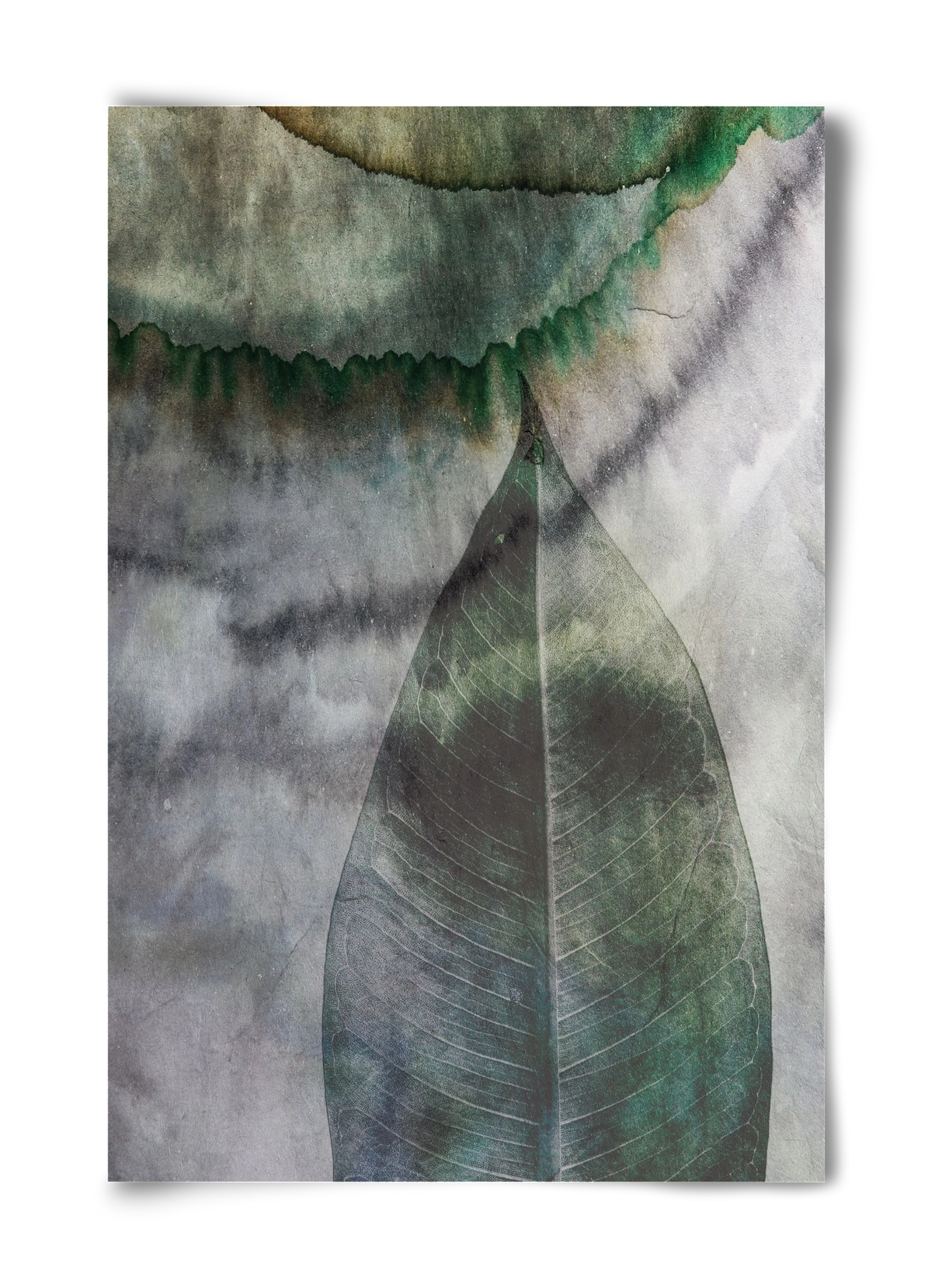 Natural selection II., 40x60 cm, Keret nélkül