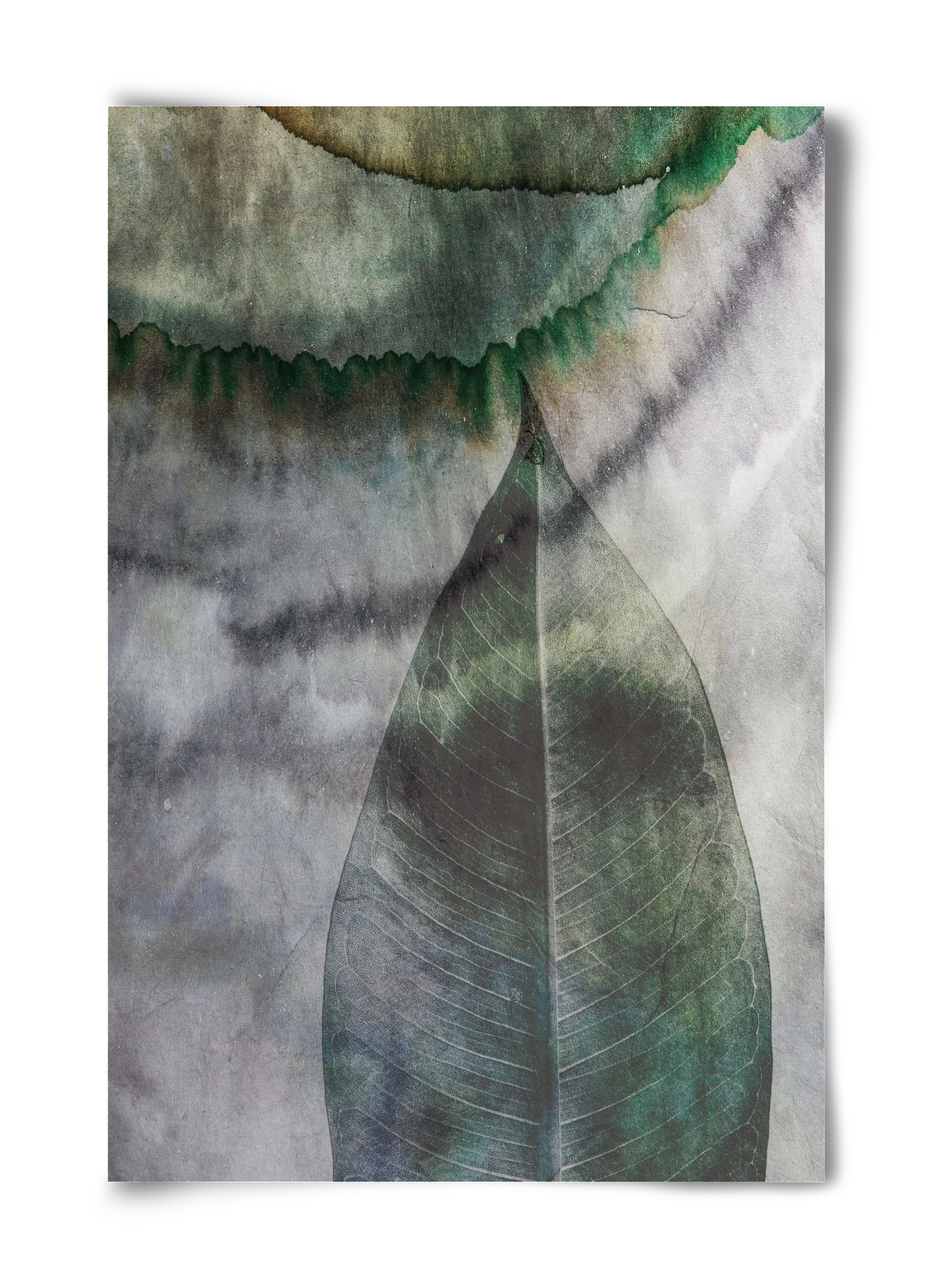 Natural selection II., 40x60 cm, Keret nélkül