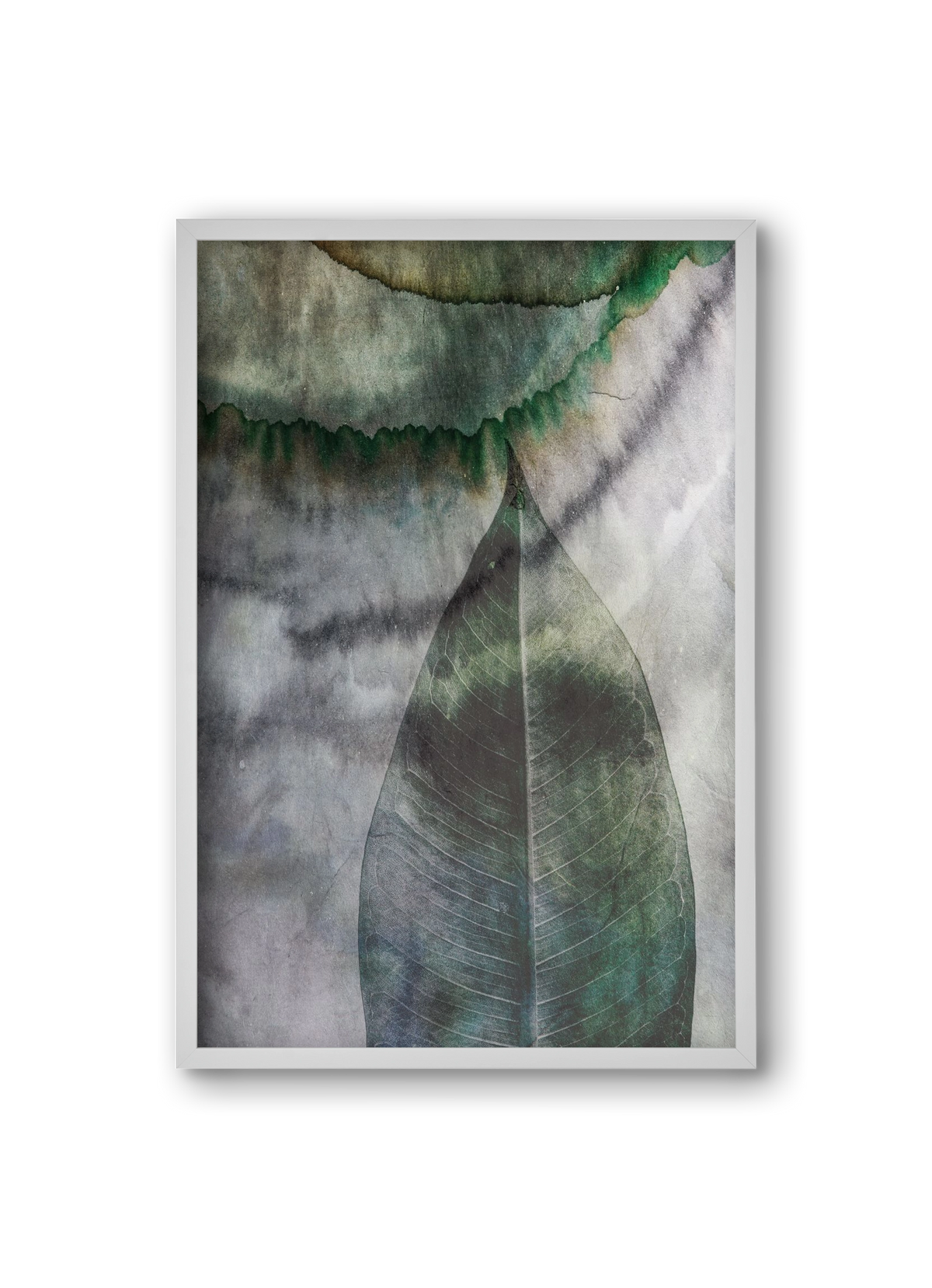 Natural selection II., 20x30 cm (20x30 cm), Fehér keret