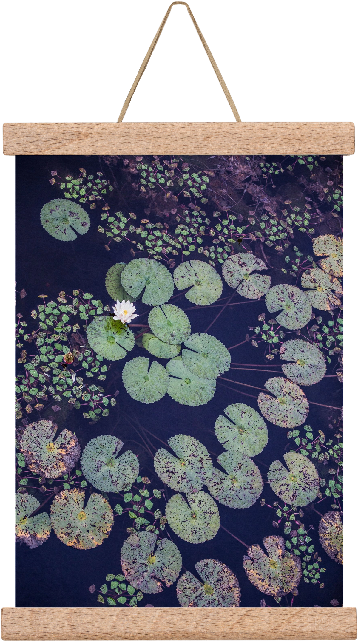 Okovango, 20x30 cm (20x30 cm), Tölgy akasztó