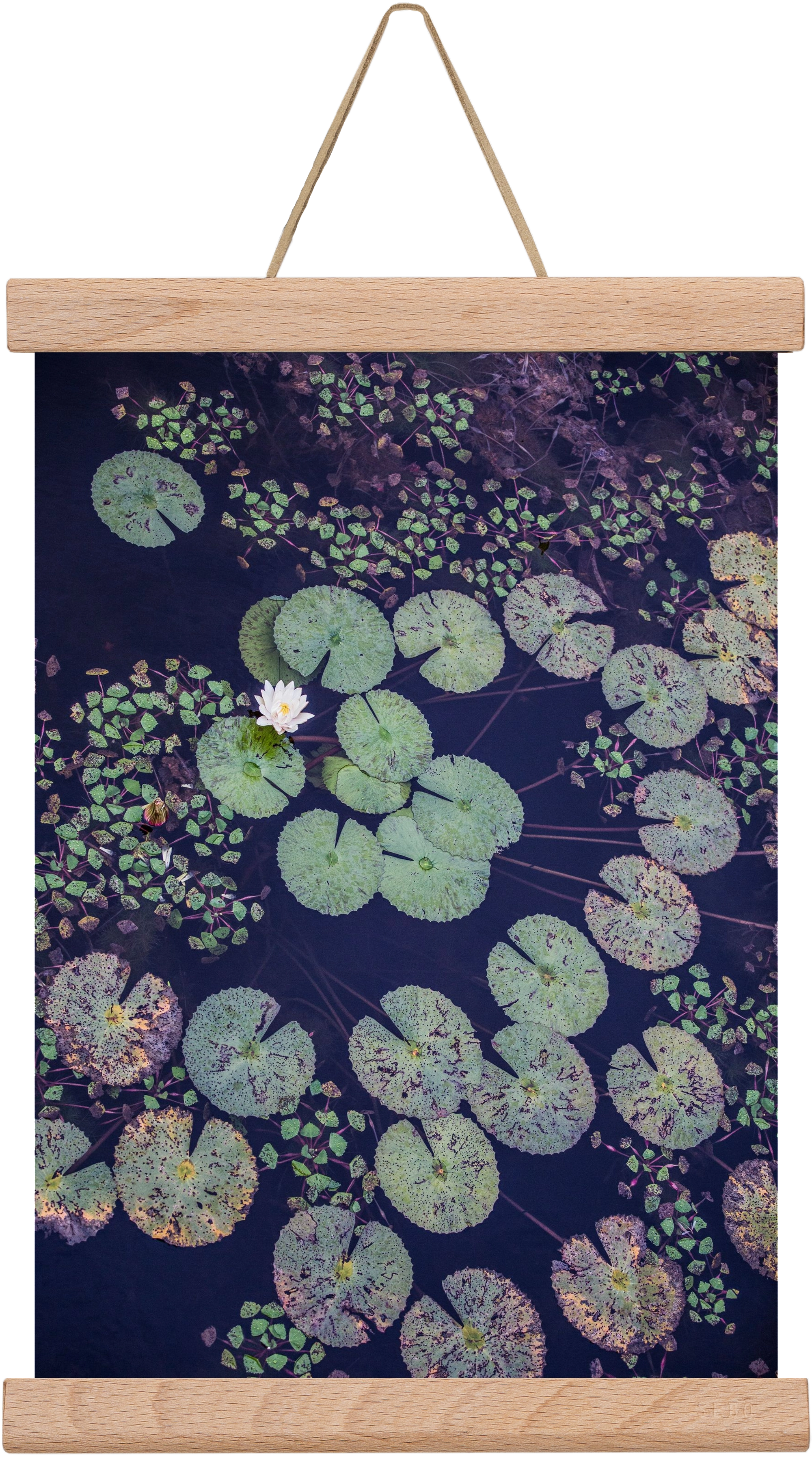 Okovango, 20x30 cm (20x30 cm), Tölgy akasztó