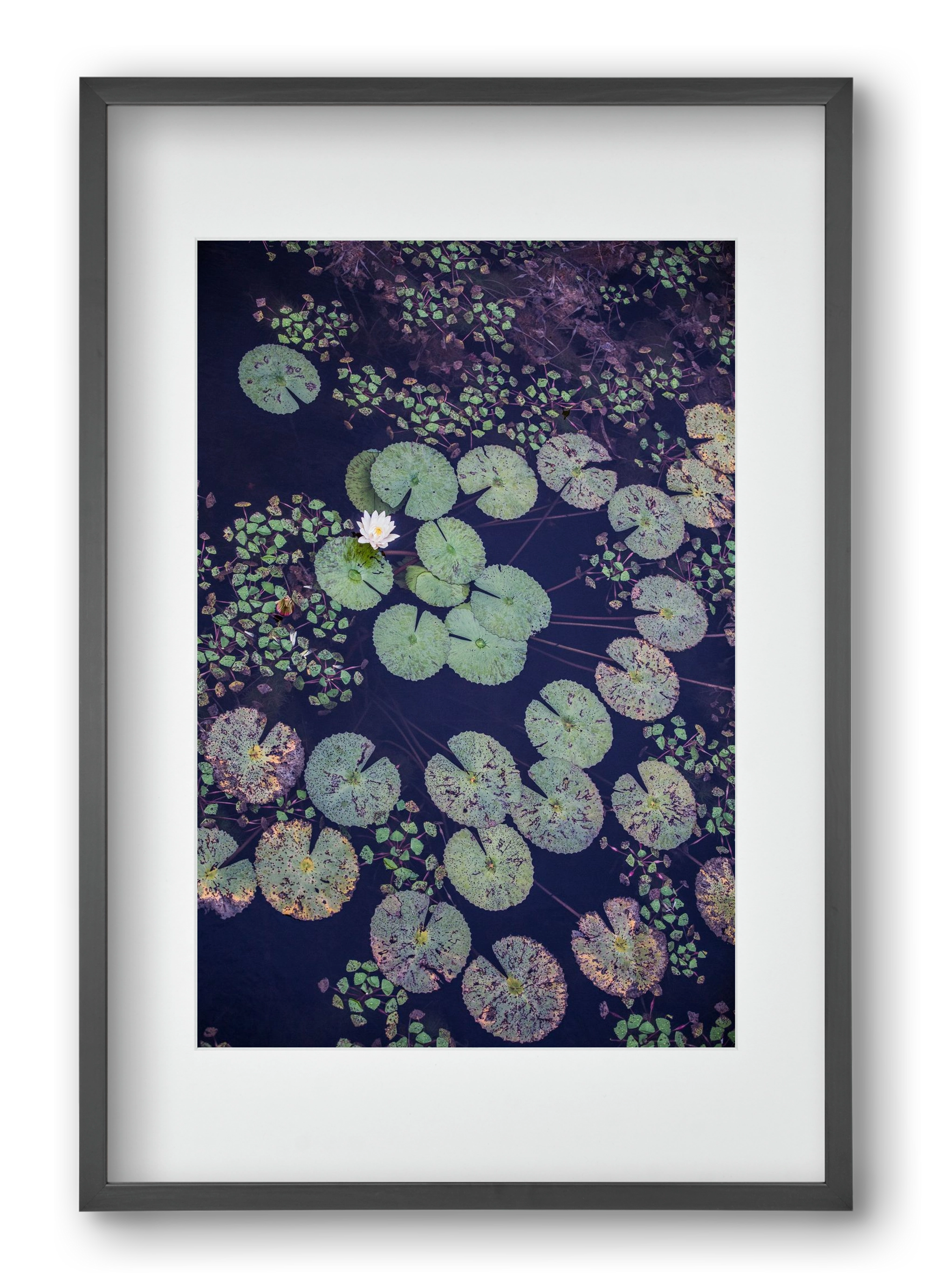 Okovango, 40x60 cm (30x45 cm), Fekete keret, paszpartuval