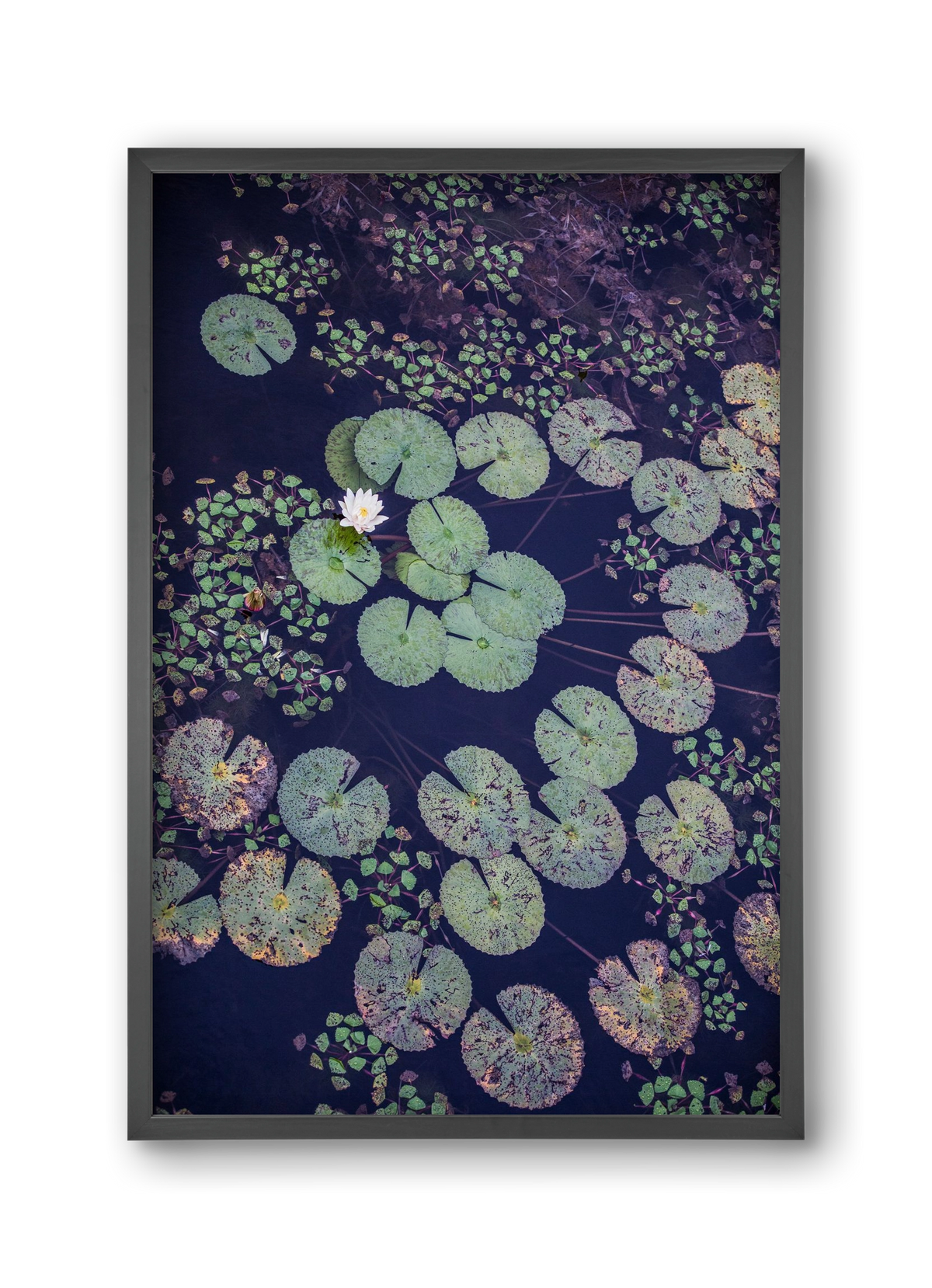 Okovango, 30x45 cm (30x45 cm), Fekete keret