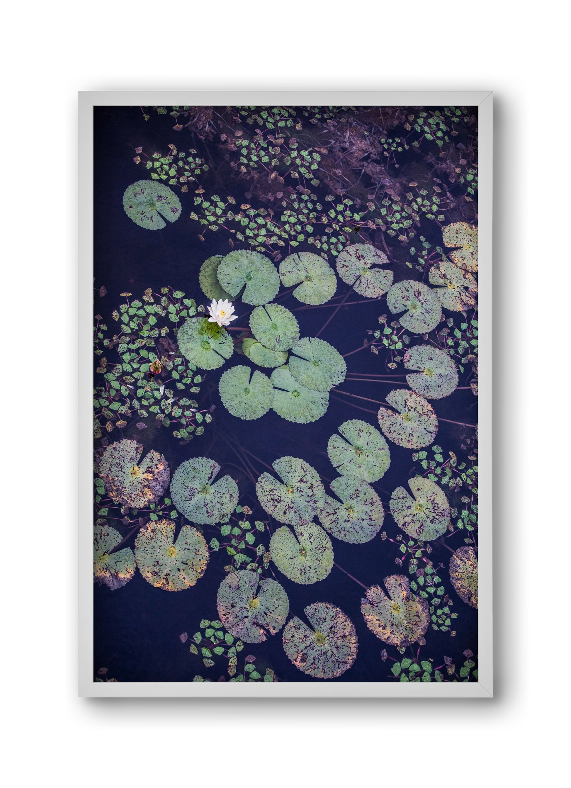 Okovango, 30x45 cm (30x45 cm), Fehér keret