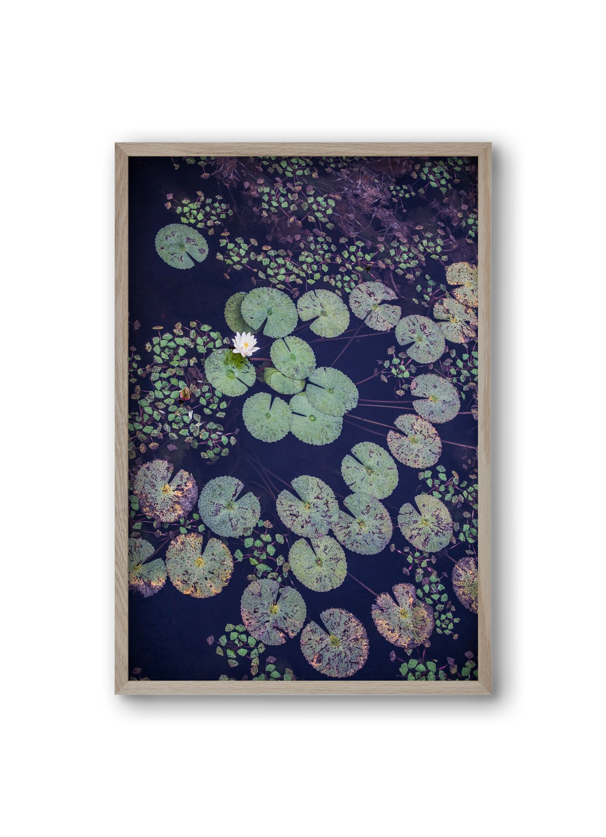 Okovango, 20x30 cm (20x30 cm), Tölgy keret