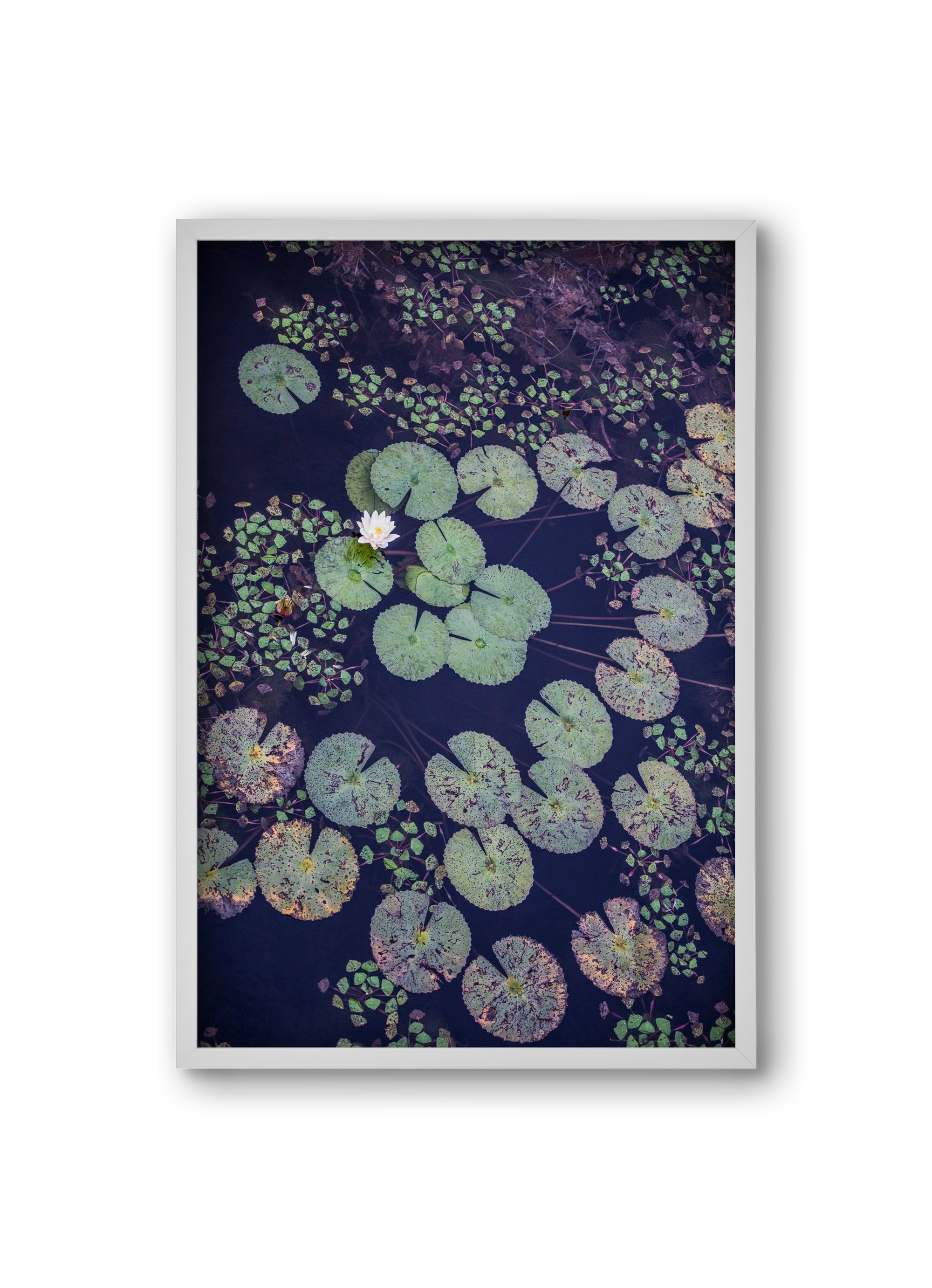 Okovango, 20x30 cm (20x30 cm), Fehér keret