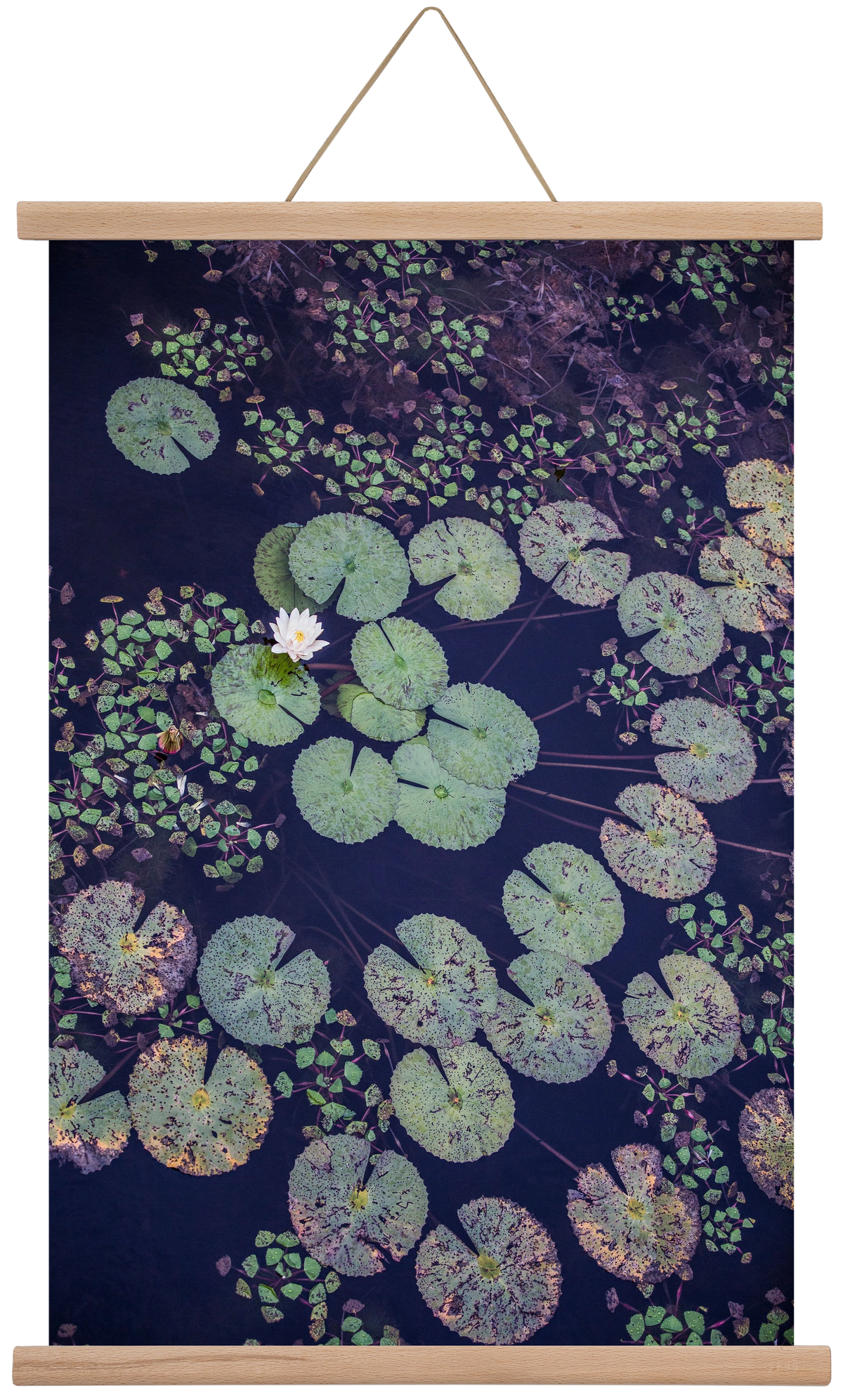 Okovango, 40x60 cm (40x60 cm), Tölgy akasztó