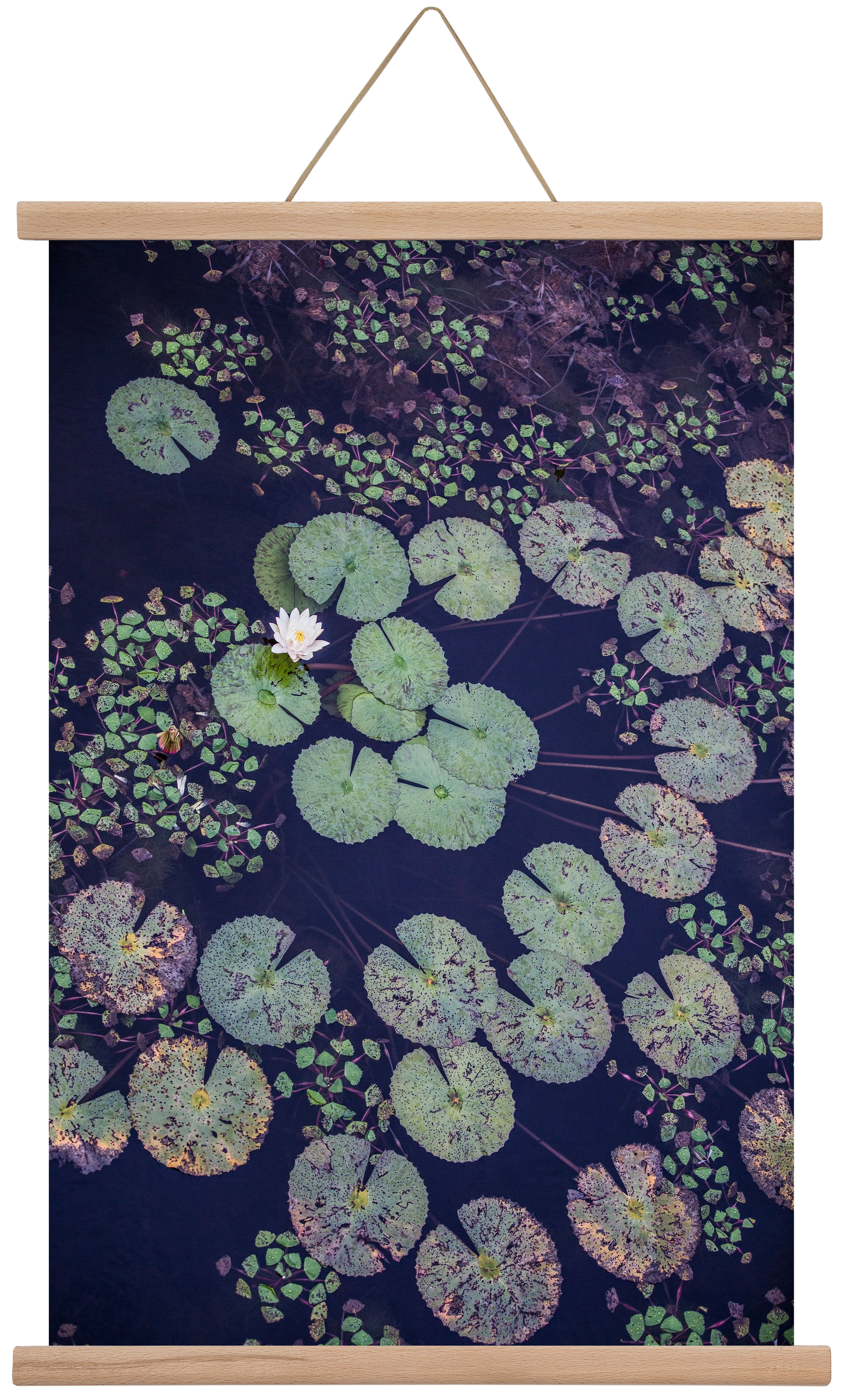 Okovango, 40x60 cm (40x60 cm), Tölgy akasztó