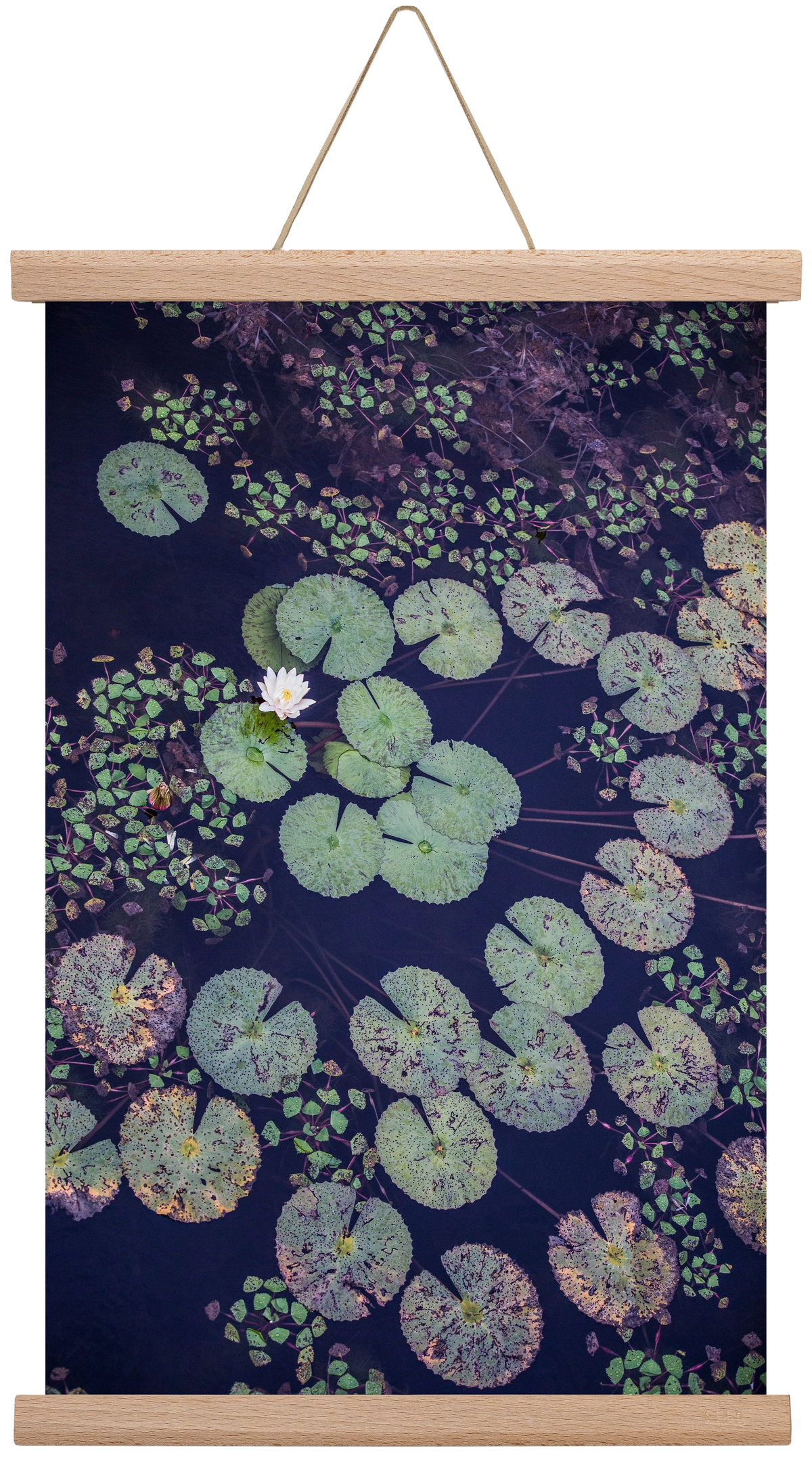 Okovango, 30x45 cm (30x45 cm), Tölgy akasztó