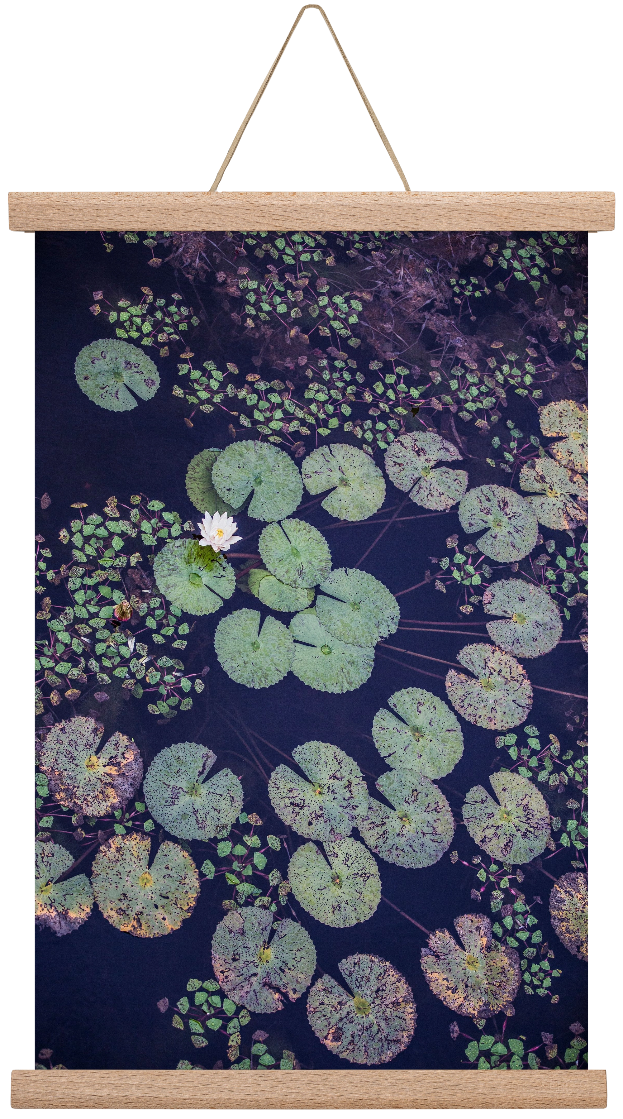 Okovango, 30x45 cm (30x45 cm), Tölgy akasztó