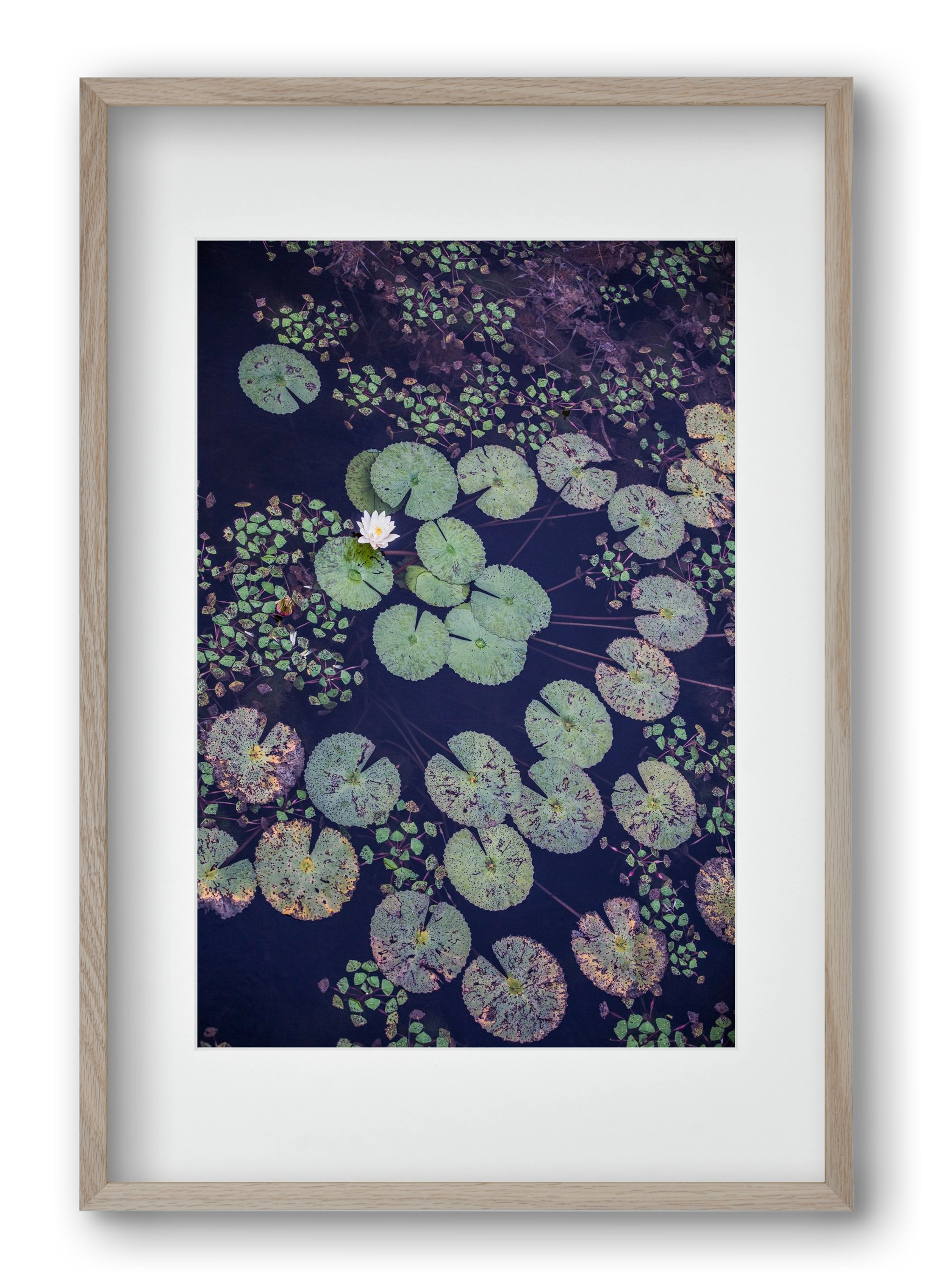 Okovango, 40x60 cm (30x45 cm), Tölgy keret, paszpartuval