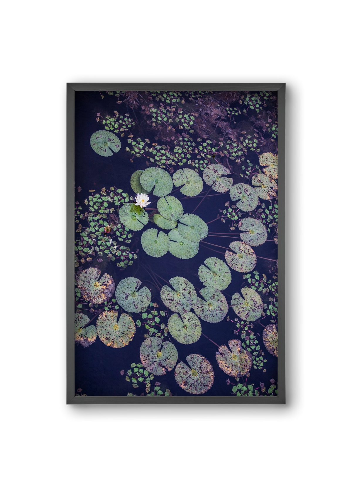 Okovango, 20x30 cm (20x30 cm), Fekete keret