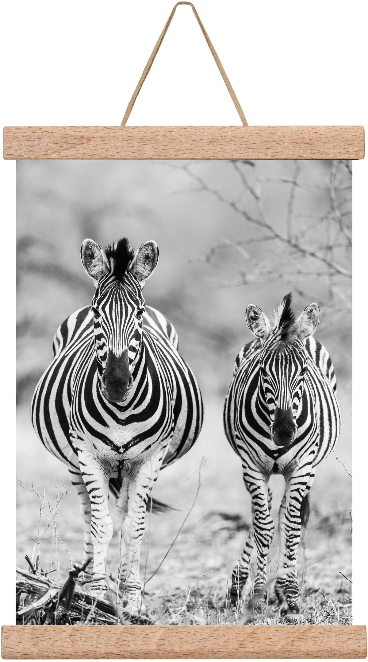 Striped horse, 20x30 cm (20x30 cm), Tölgy akasztó