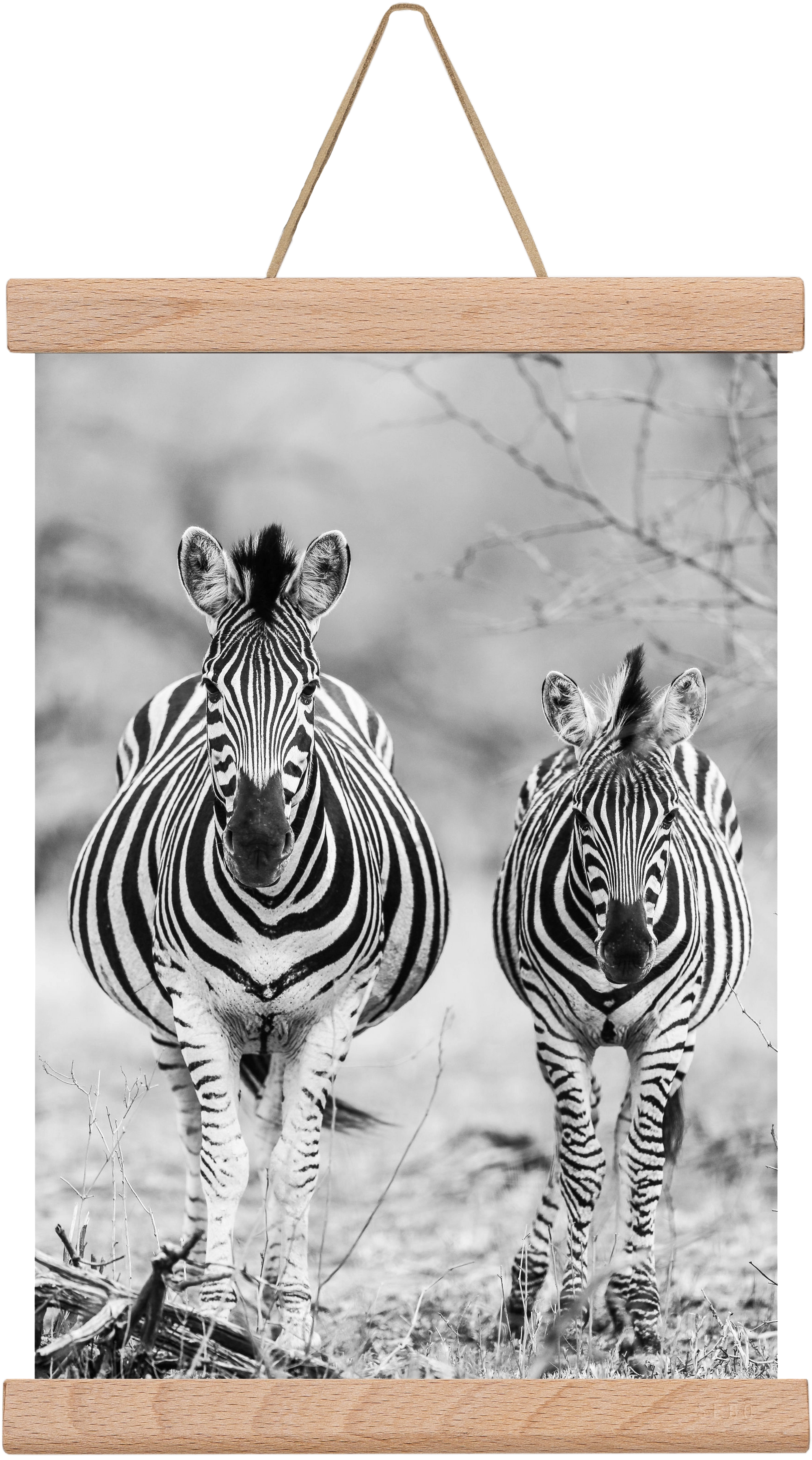 Striped horse, 20x30 cm (20x30 cm), Tölgy akasztó