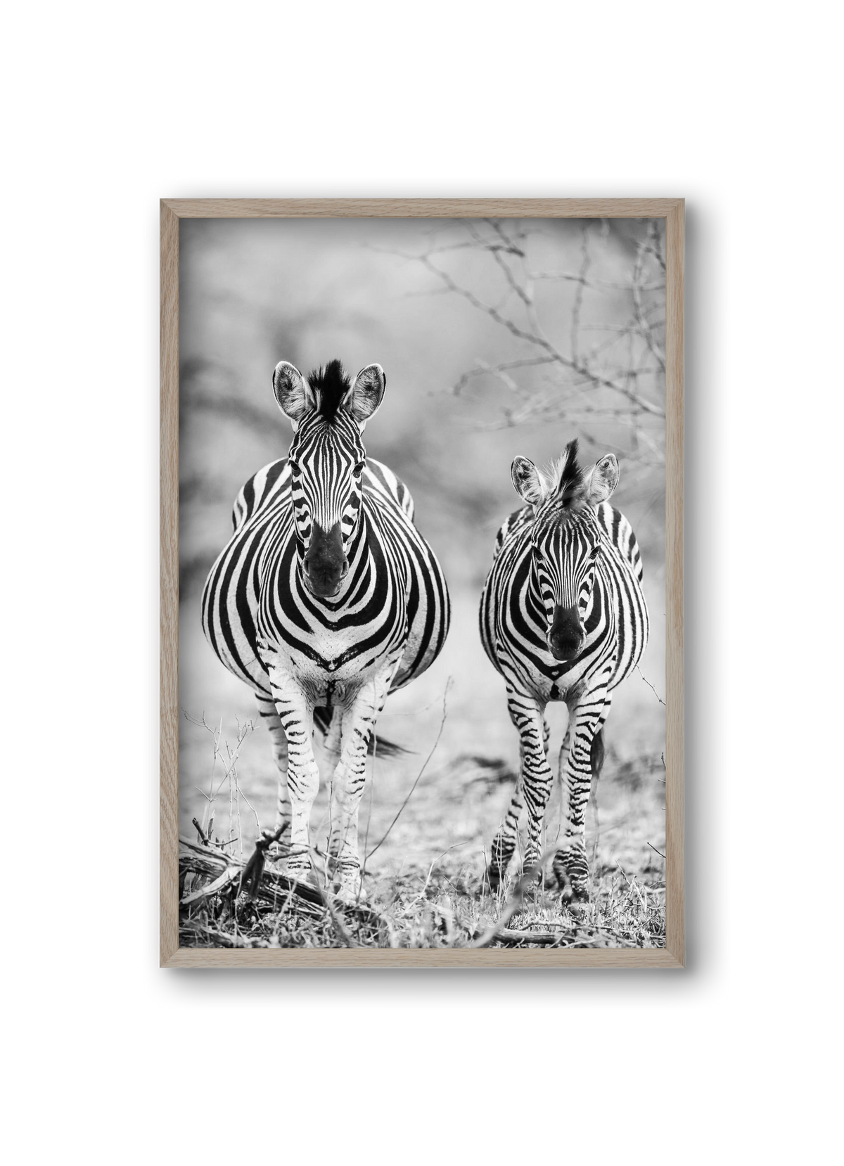 Striped horse, 20x30 cm (20x30 cm), Tölgy keret