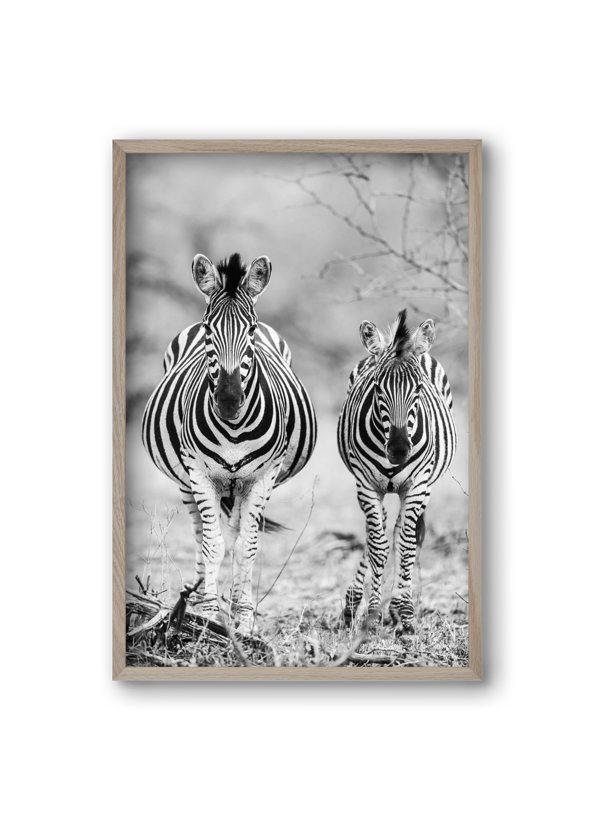 Striped horse, 20x30 cm (20x30 cm), Tölgy keret