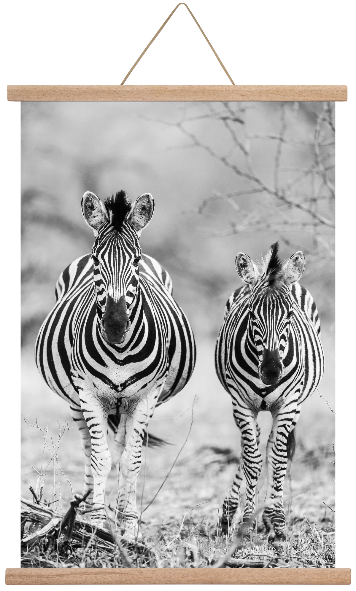 Striped horse, 40x60 cm (40x60 cm), Tölgy akasztó