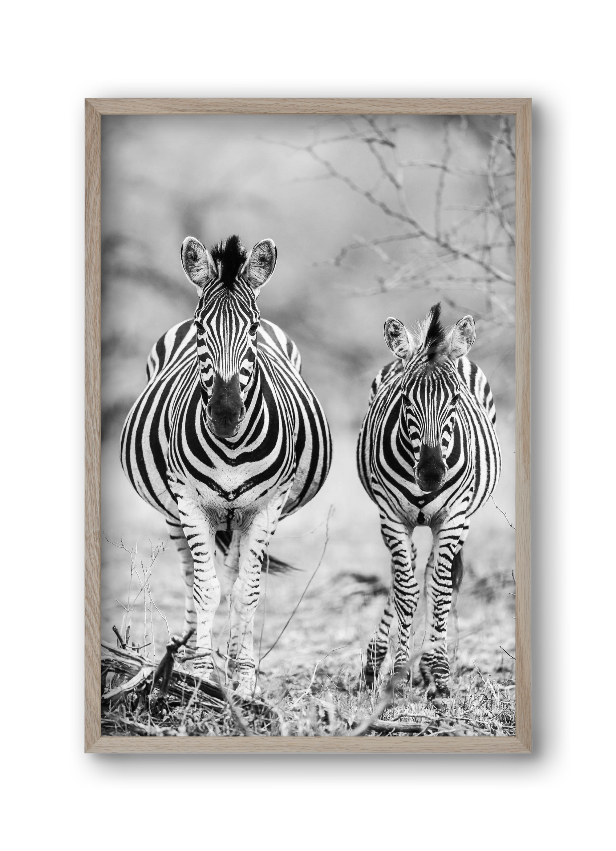 Striped horse, 30x45 cm (30x45 cm), Tölgy keret