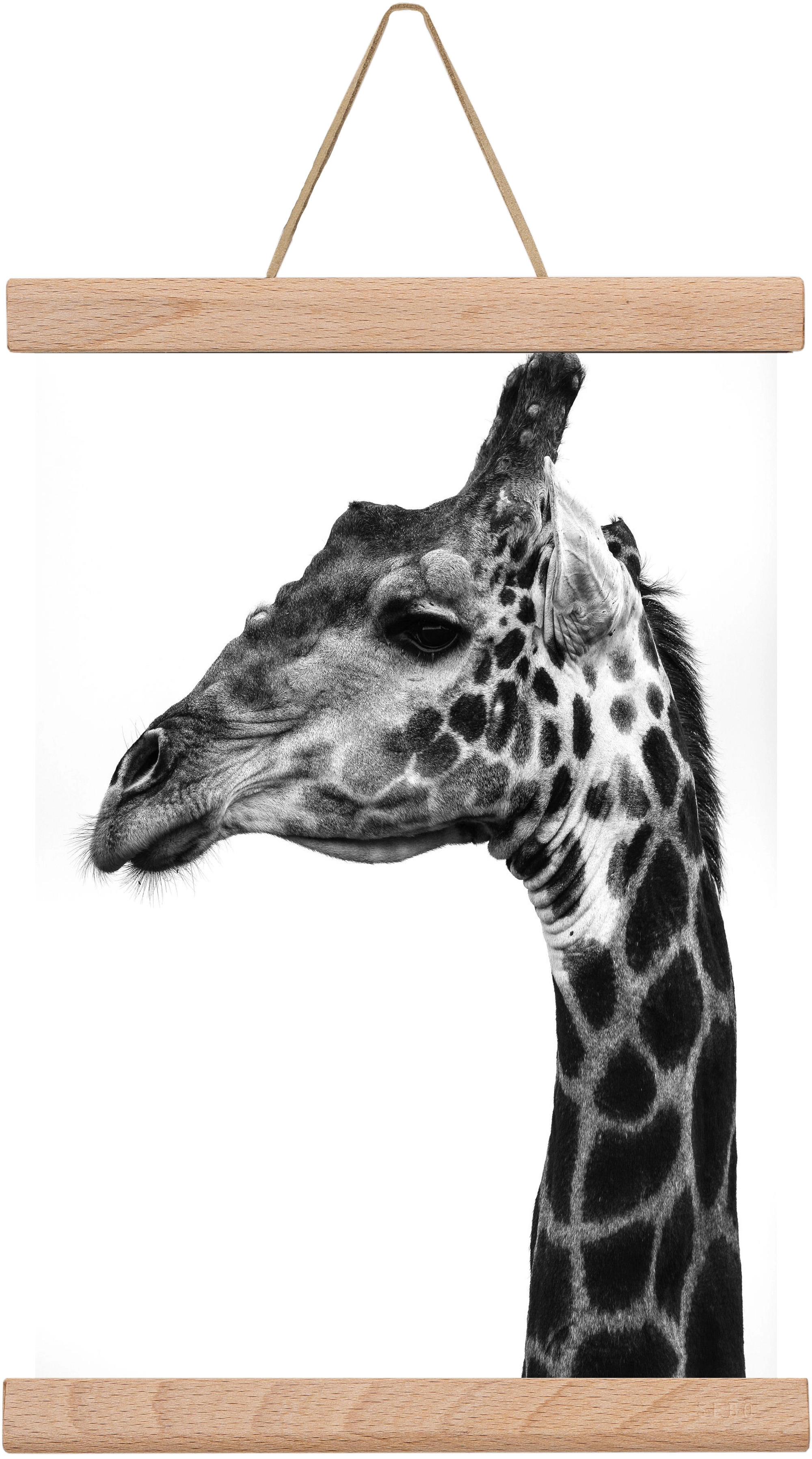 Super safari, 20x30 cm (20x30 cm), Tölgy akasztó