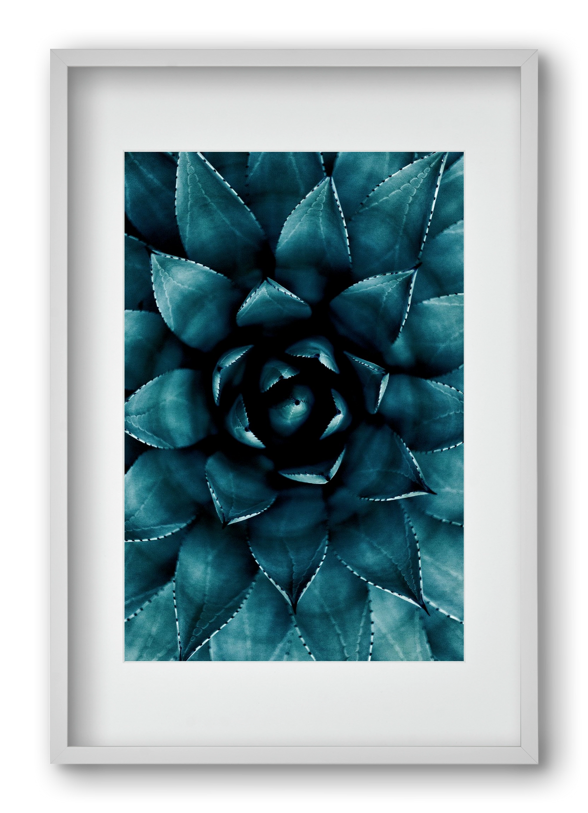 Cactus No. 9, 40x60 cm (30x45 cm), Fehér keret, paszpartuval