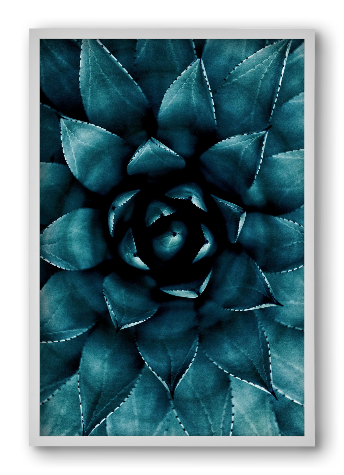 Cactus No. 9, 40x60 cm (40x60 cm), Fehér keret