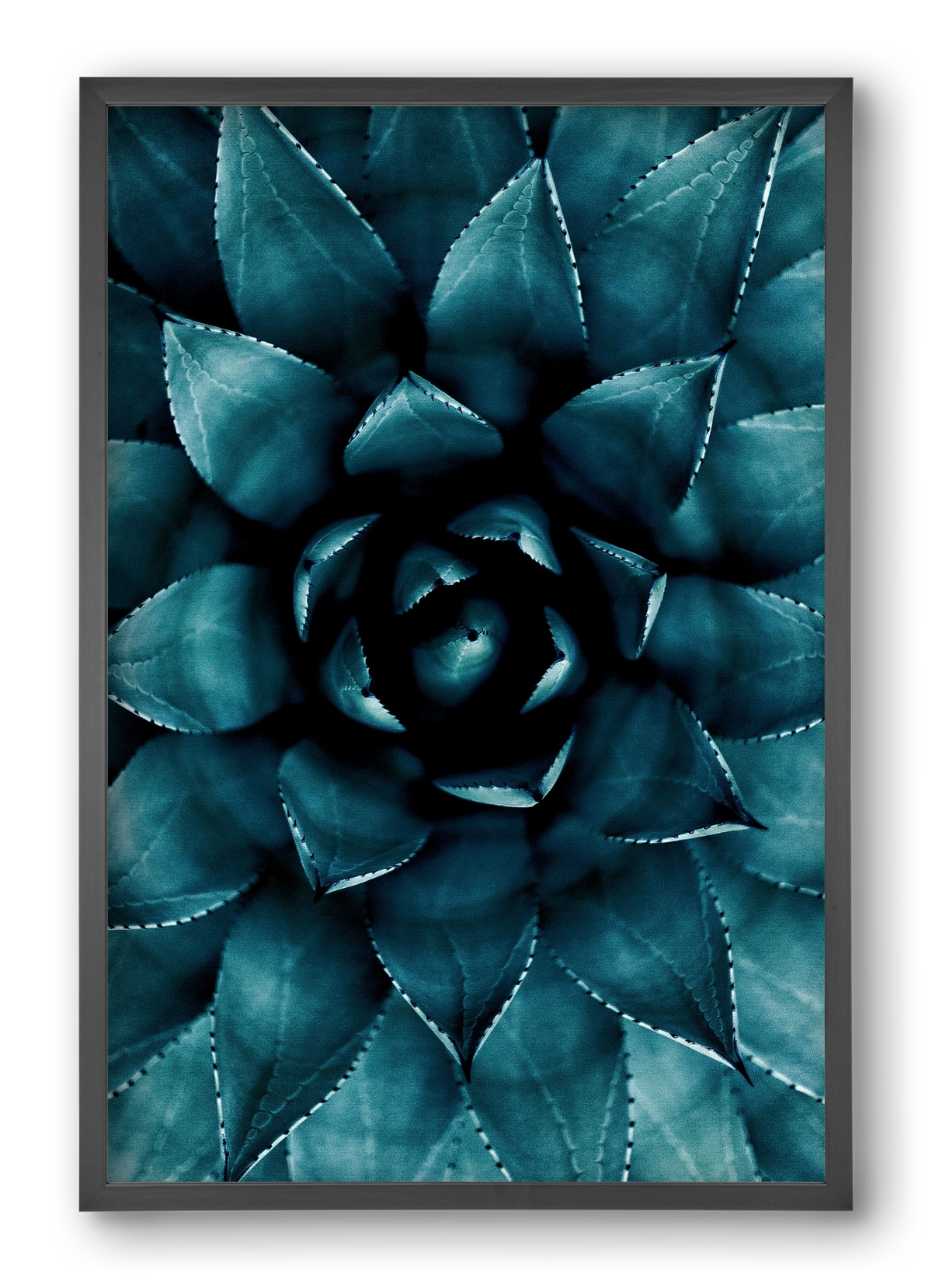 Cactus No. 9, 40x60 cm (40x60 cm), Fekete keret