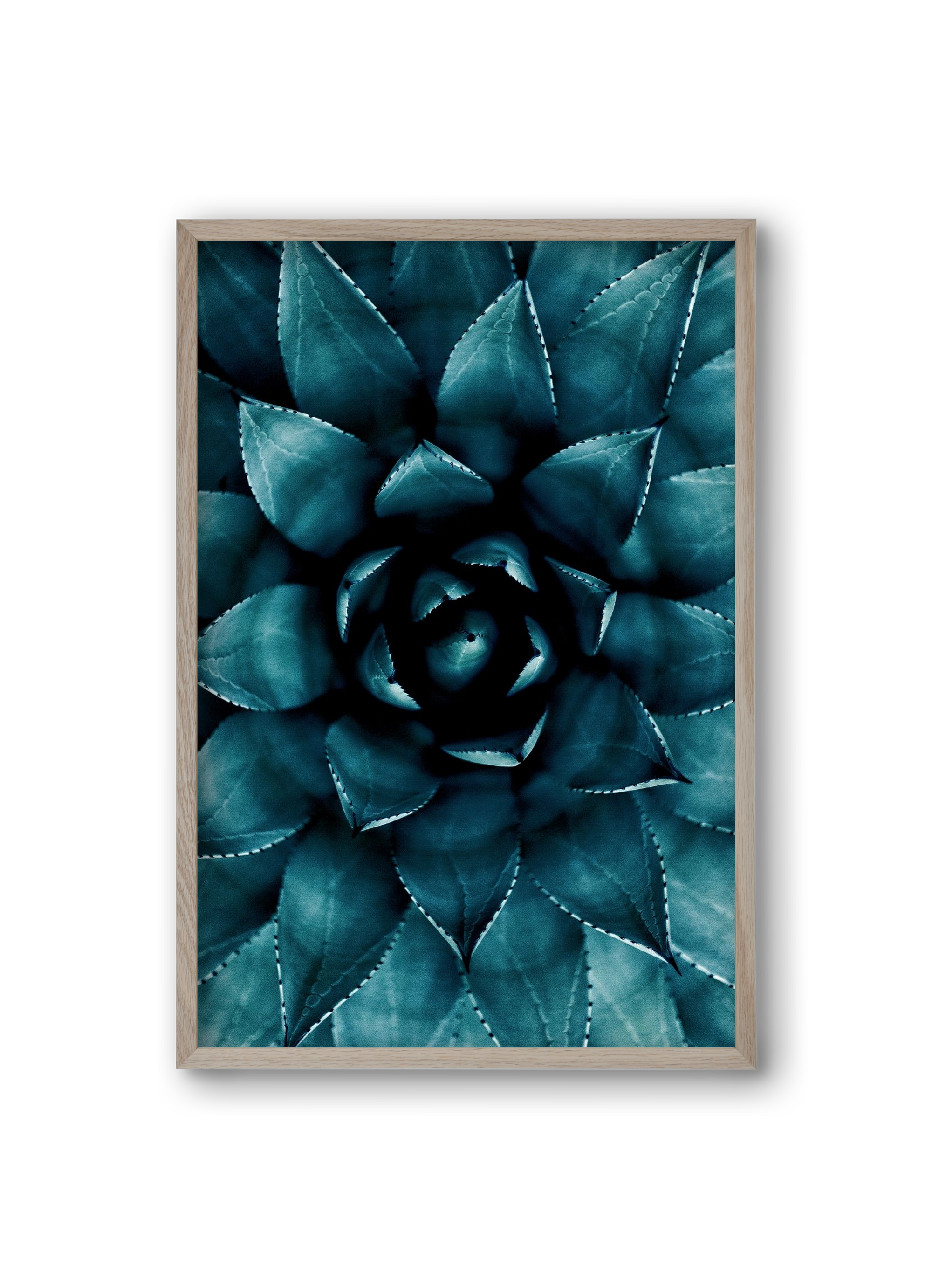 Cactus No. 9, 20x30 cm (20x30 cm), Tölgy keret