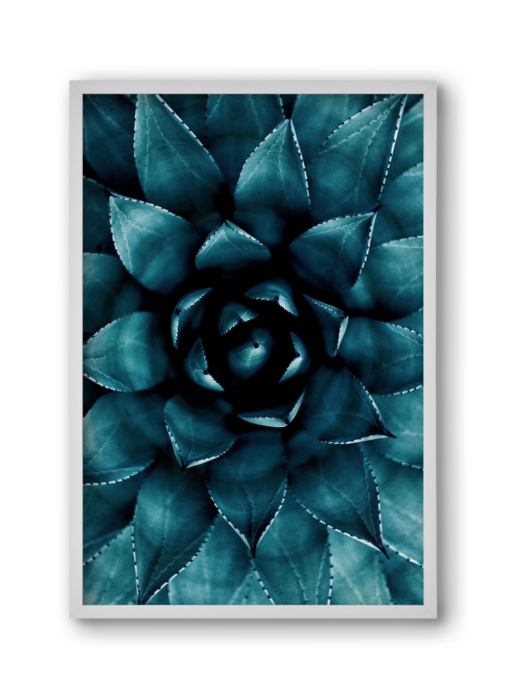 Cactus No. 9, 30x45 cm (30x45 cm), Fehér keret