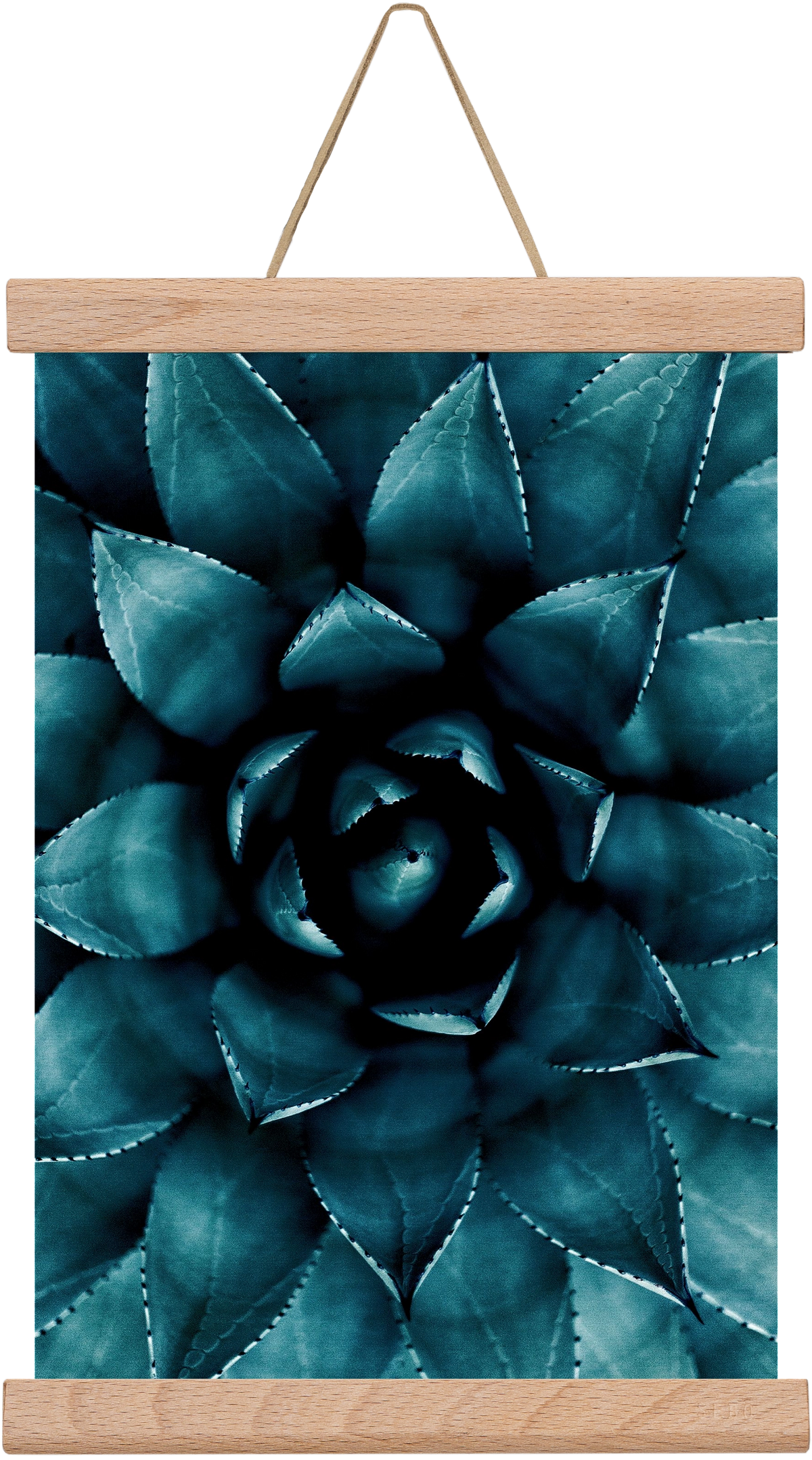 Cactus No. 9, 20x30 cm (20x30 cm), Tölgy akasztó