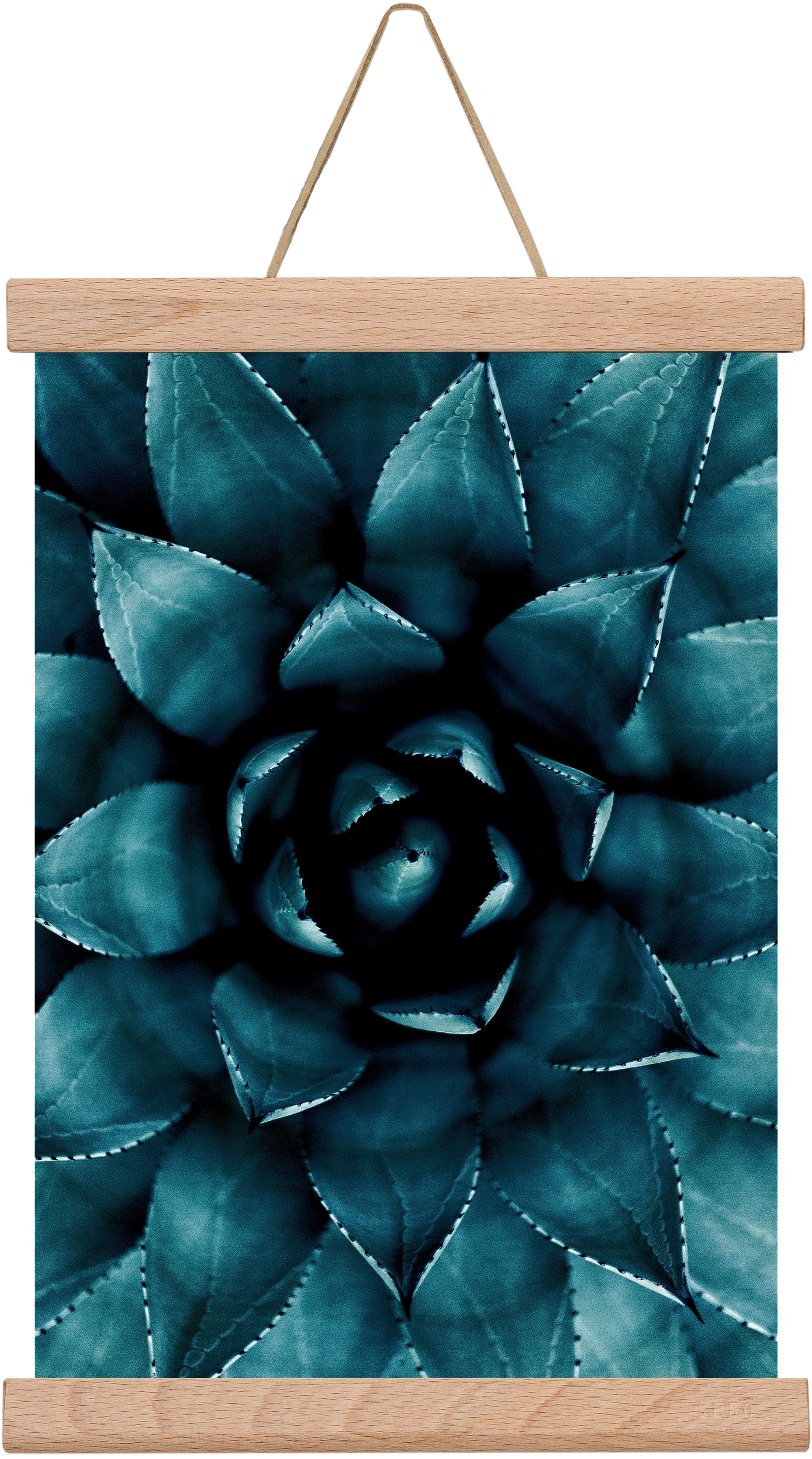 Cactus No. 9, 20x30 cm (20x30 cm), Tölgy akasztó